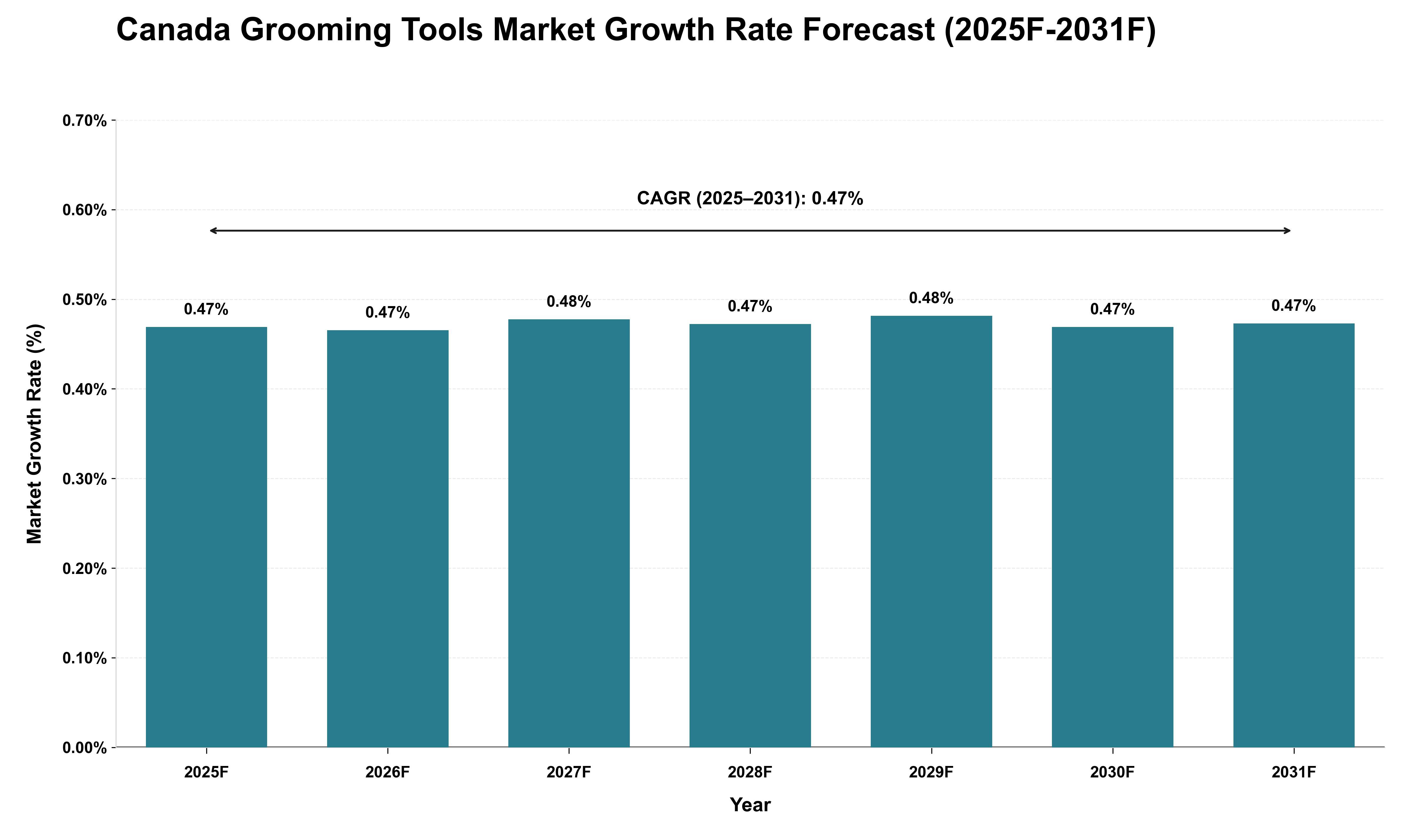 Canada Grooming Tools Market Growth Rate Analysis (2025 - 2031)