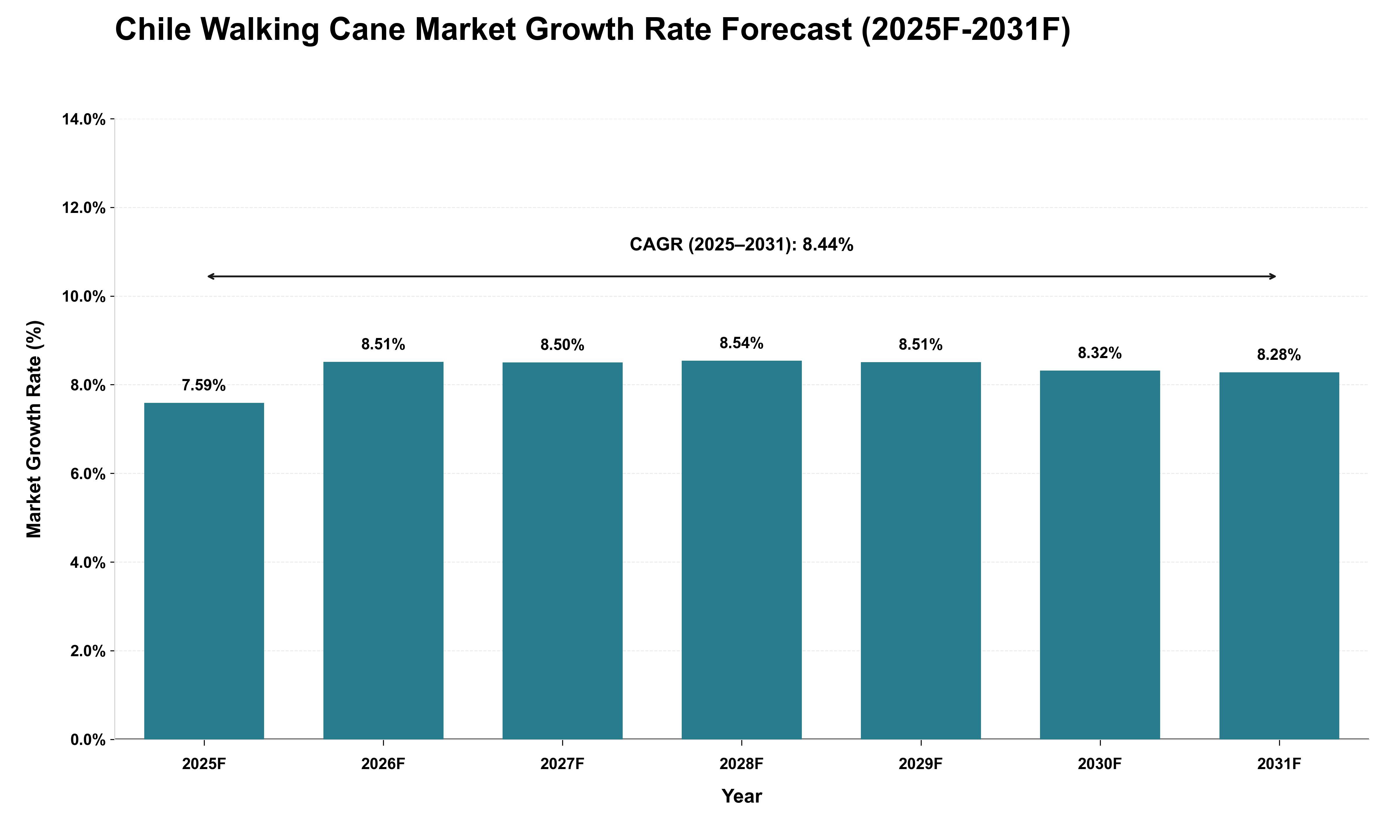 Chile Walking Cane Market Growth Rate Analysis (2025 - 2031)