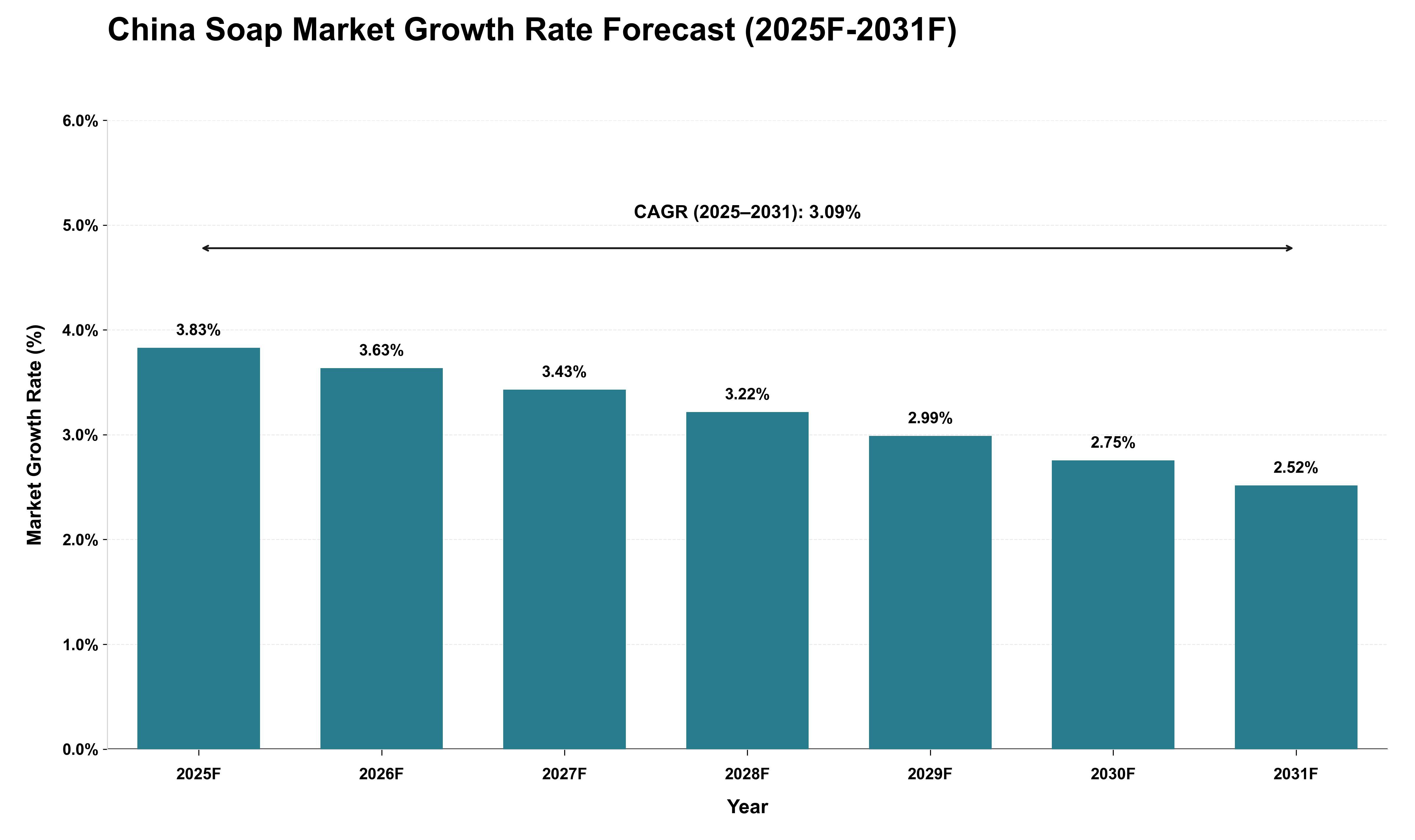 China Soap Market Growth Rate Analysis (2025 - 2031)