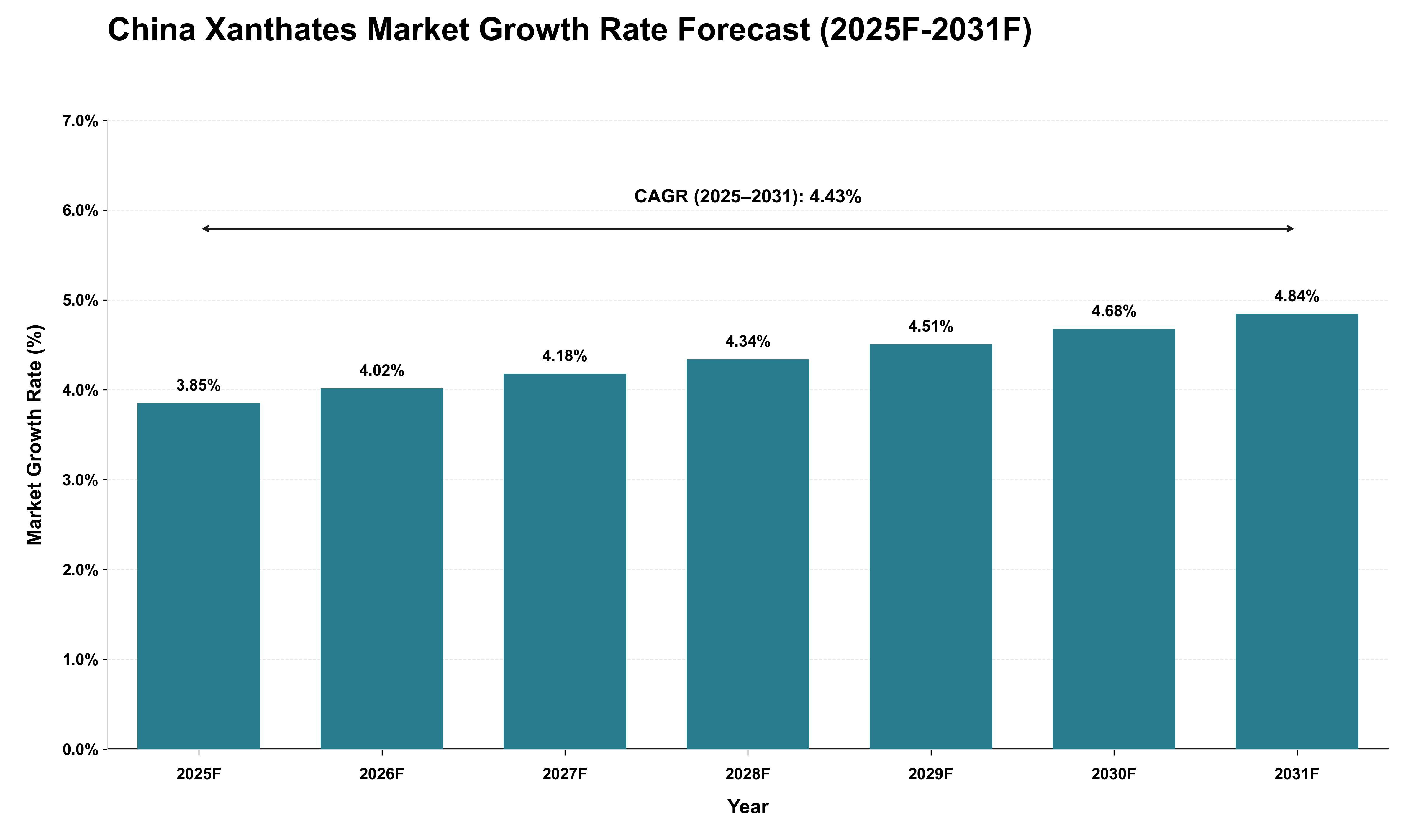 China Xanthates Market Growth Rate Analysis (2025 - 2031)