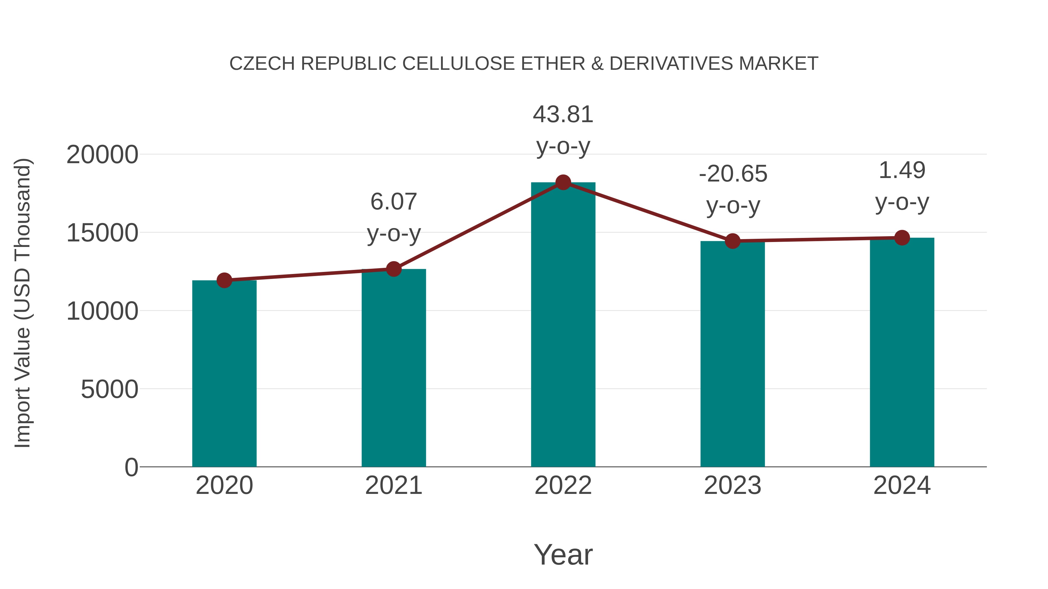 Czech Republic Cellulose Ether & Derivatives Market: Import Trend Analysis