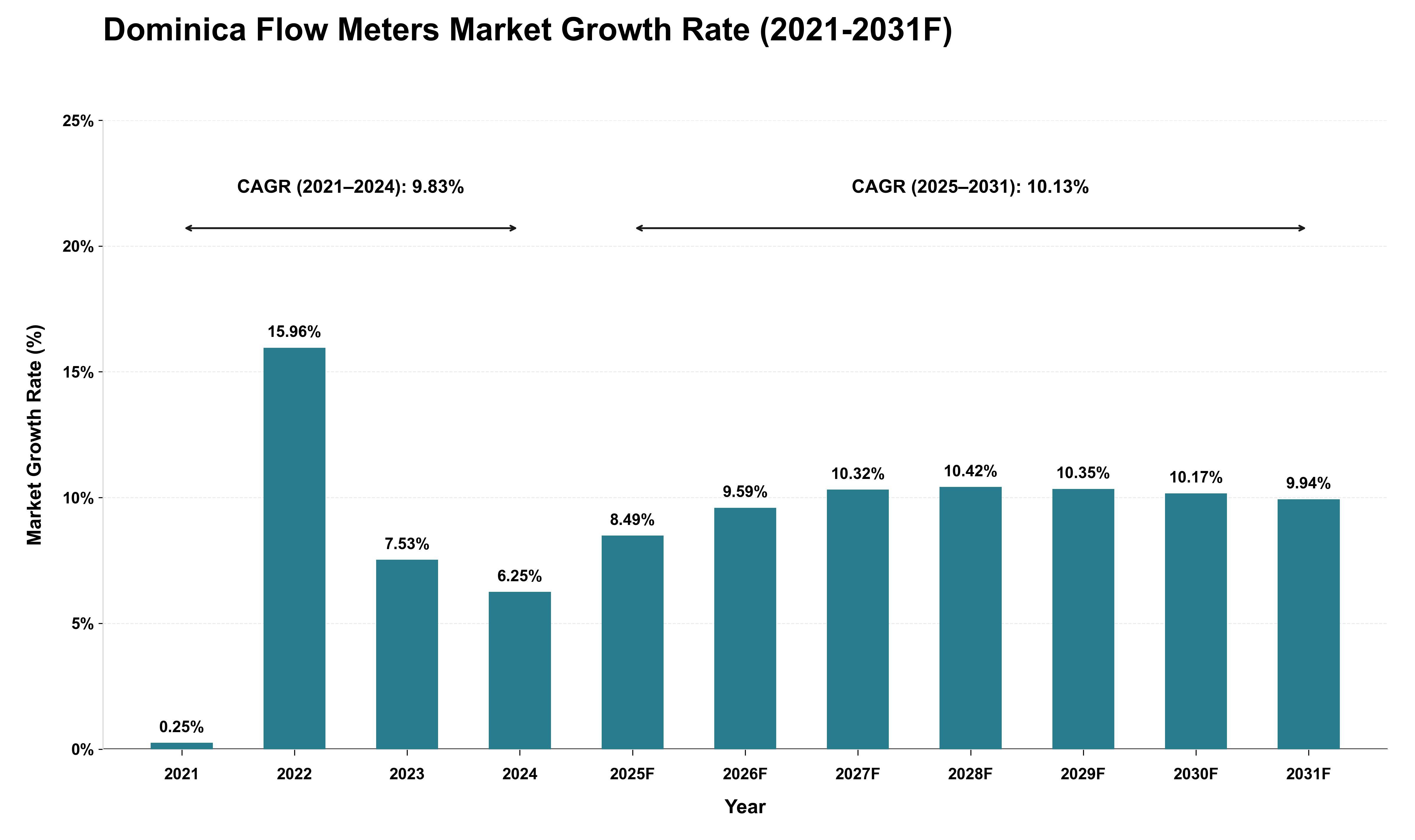 Dominica Flow Meters Market Growth Rate Analysis (2021 - 2031)