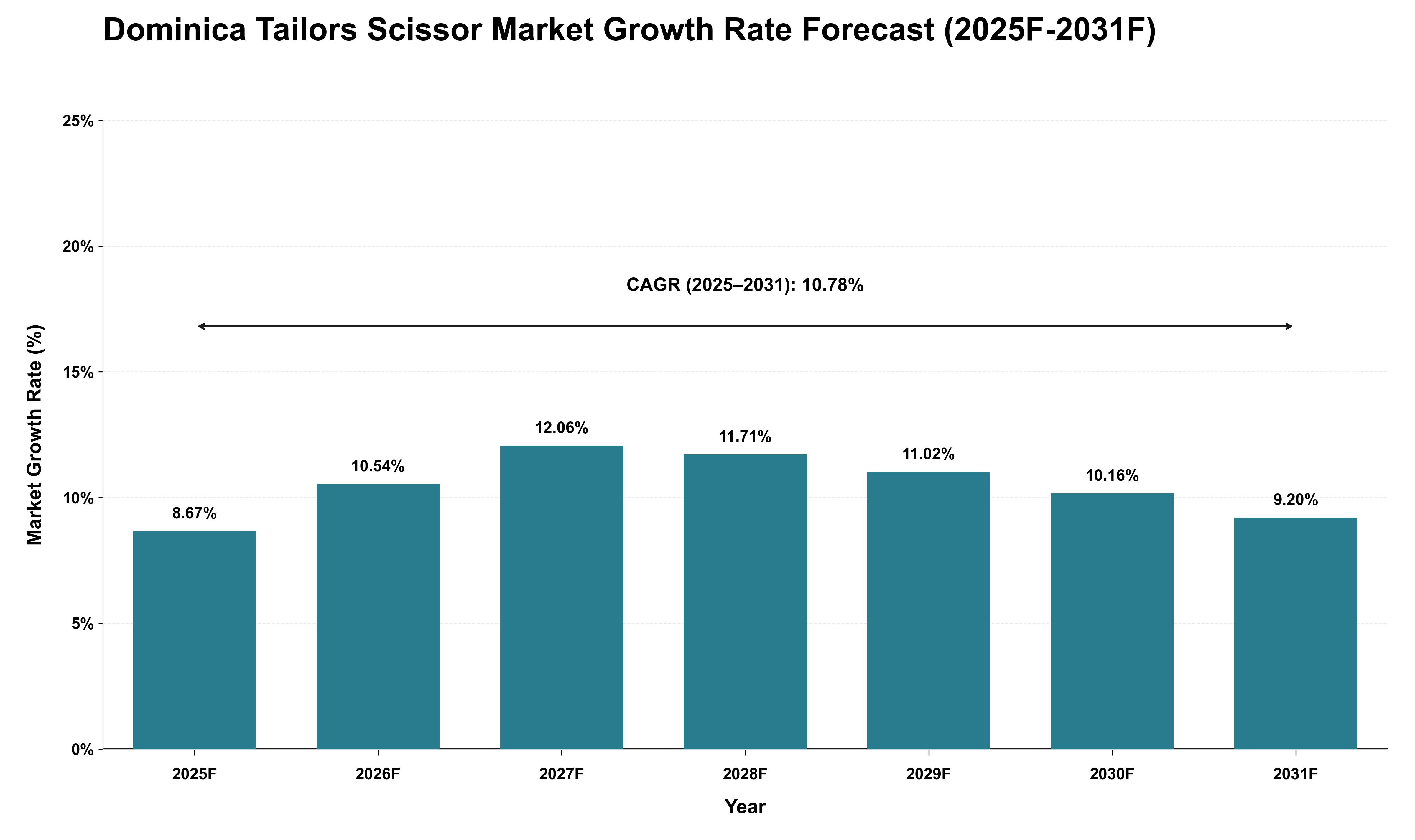 Dominica Tailors Scissor Market Growth Rate Analysis (2025 - 2031)