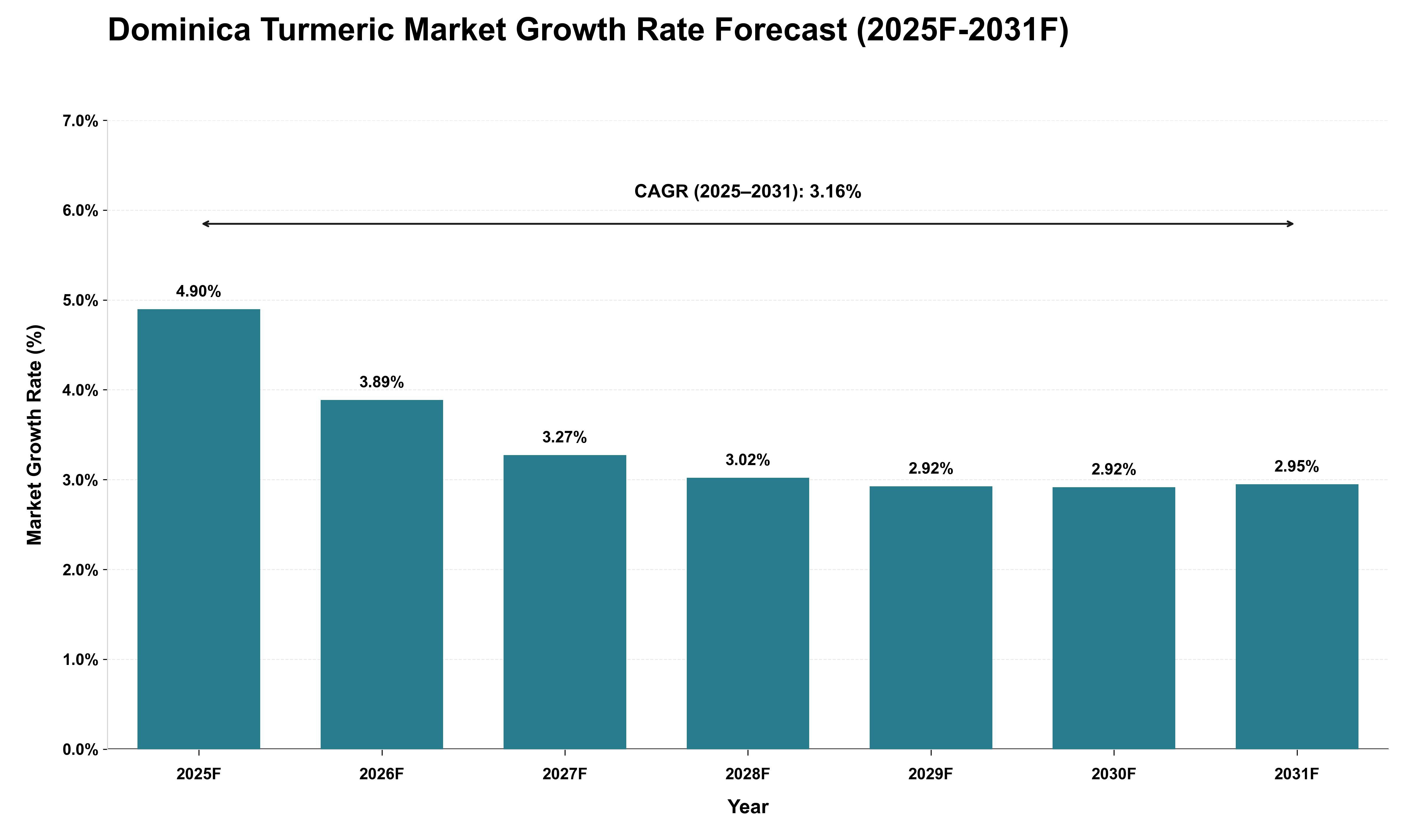 Dominica Turmeric Market Growth Rate Analysis (2025 - 2031)