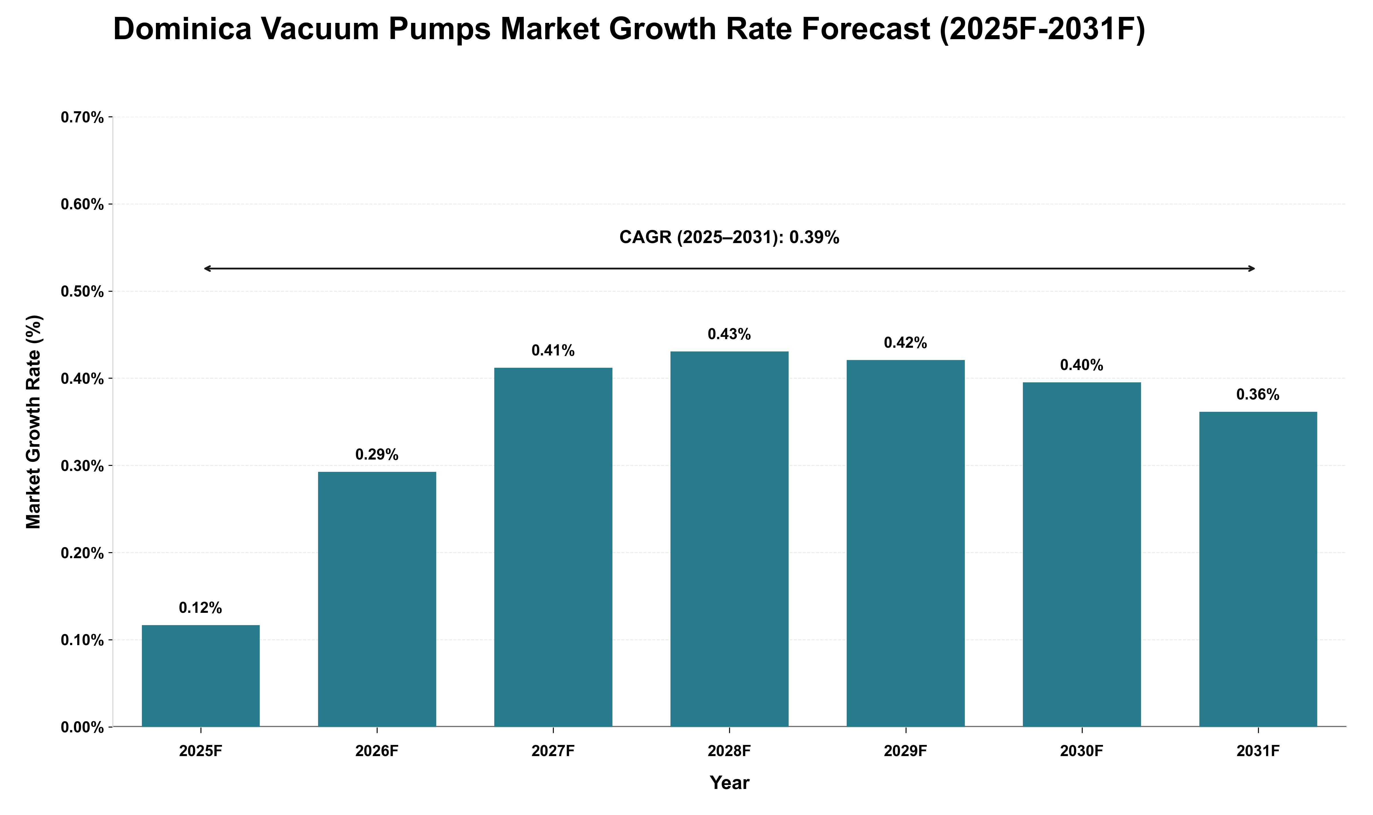 Dominica Vacuum Pumps Market Growth Rate Analysis (2025 - 2031)