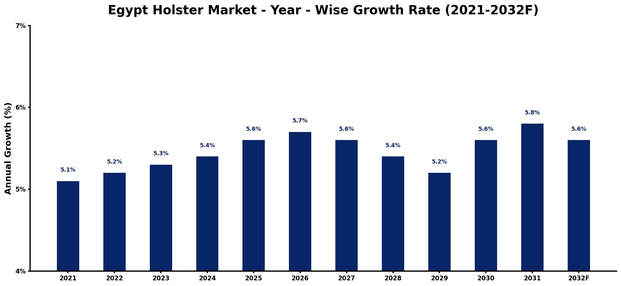 Egypt Holster Market Year-wise Growth Rate and Key Drivers