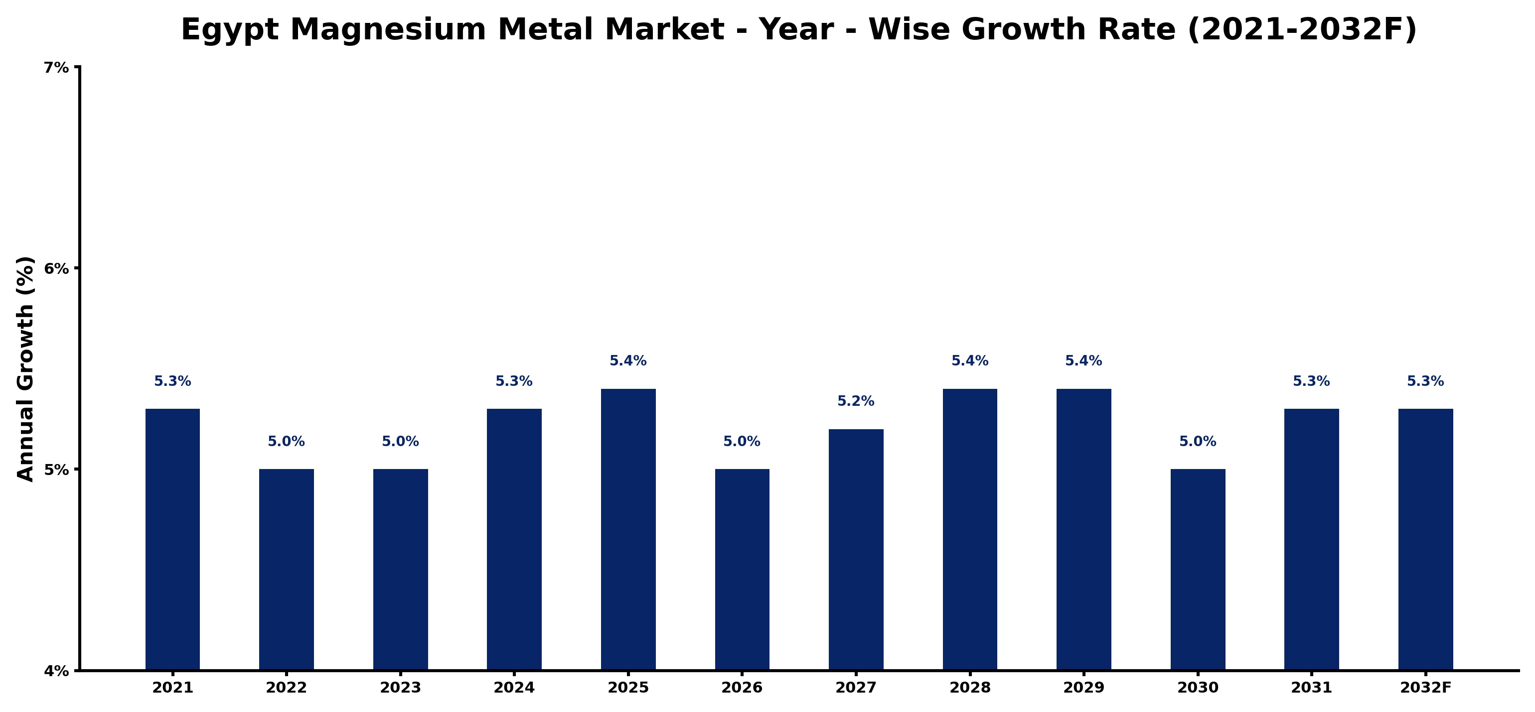Egypt Magnesium Metal Market Year-wise Growth Rate and Key Drivers