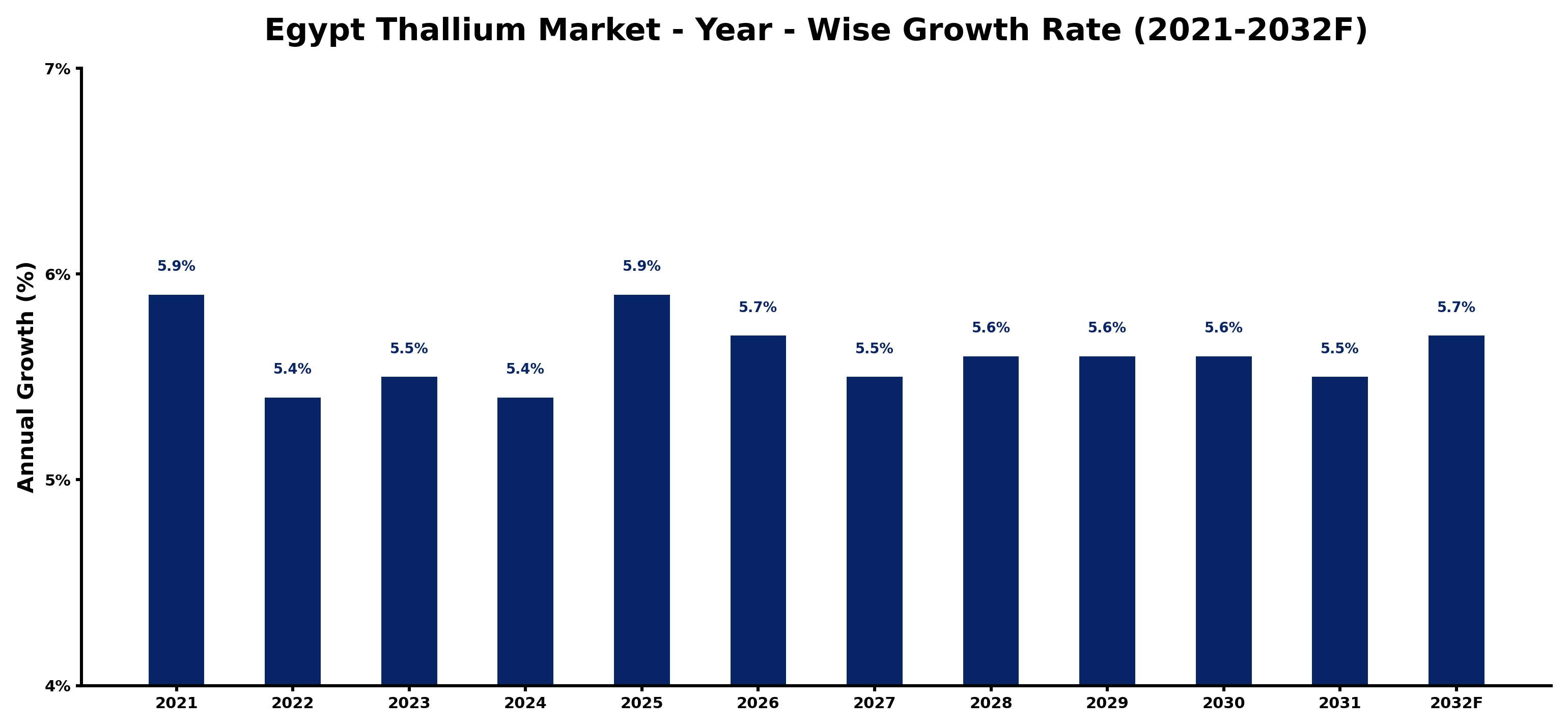 Egypt Thallium Market Year-wise Growth Rate and Key Drivers