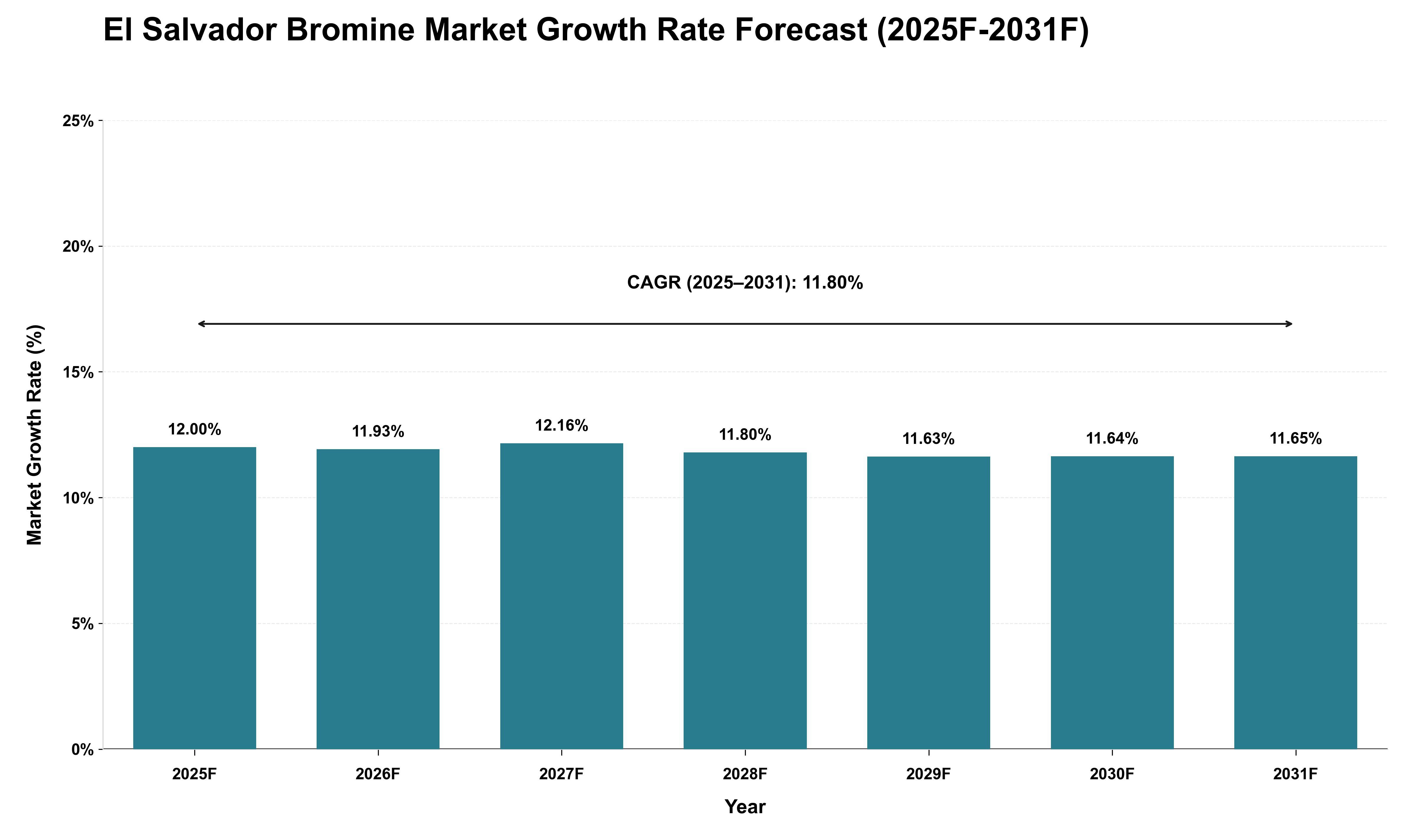 El Salvador Bromine Market Growth Rate Analysis (2025 - 2031)