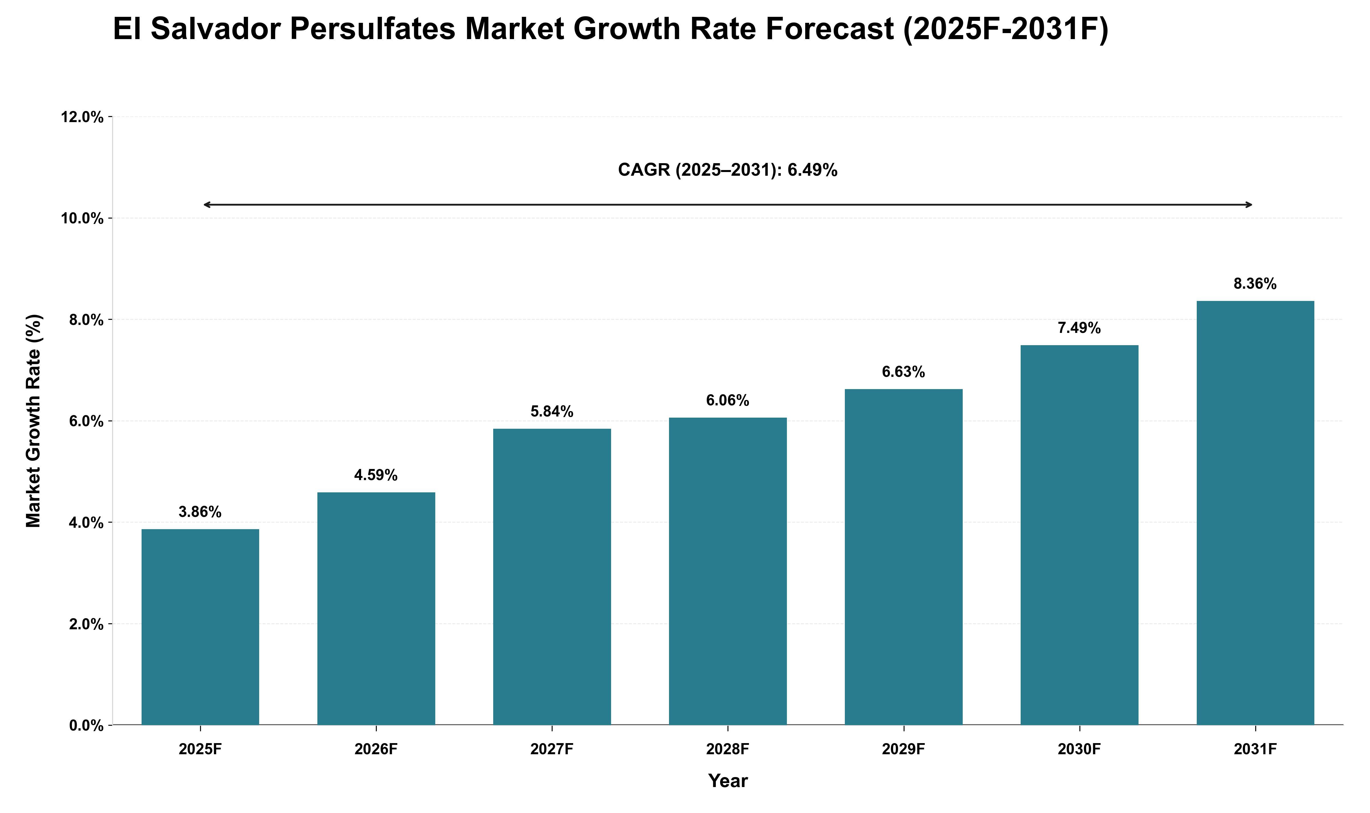 El Salvador Persulfates Market Growth Rate Analysis (2025 - 2031)