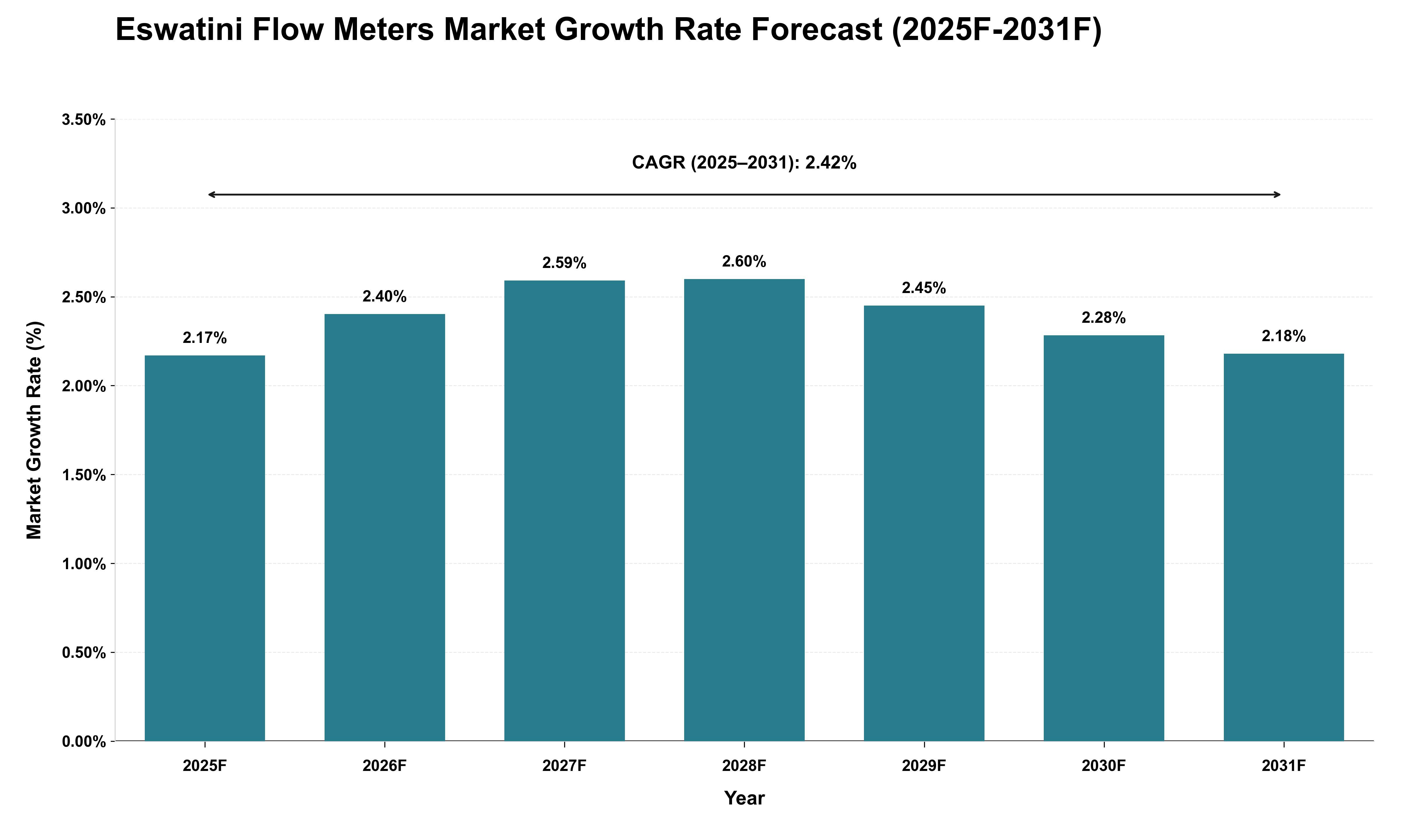 Eswatini Flow Meters Market Growth Rate Analysis (2025 - 2031)