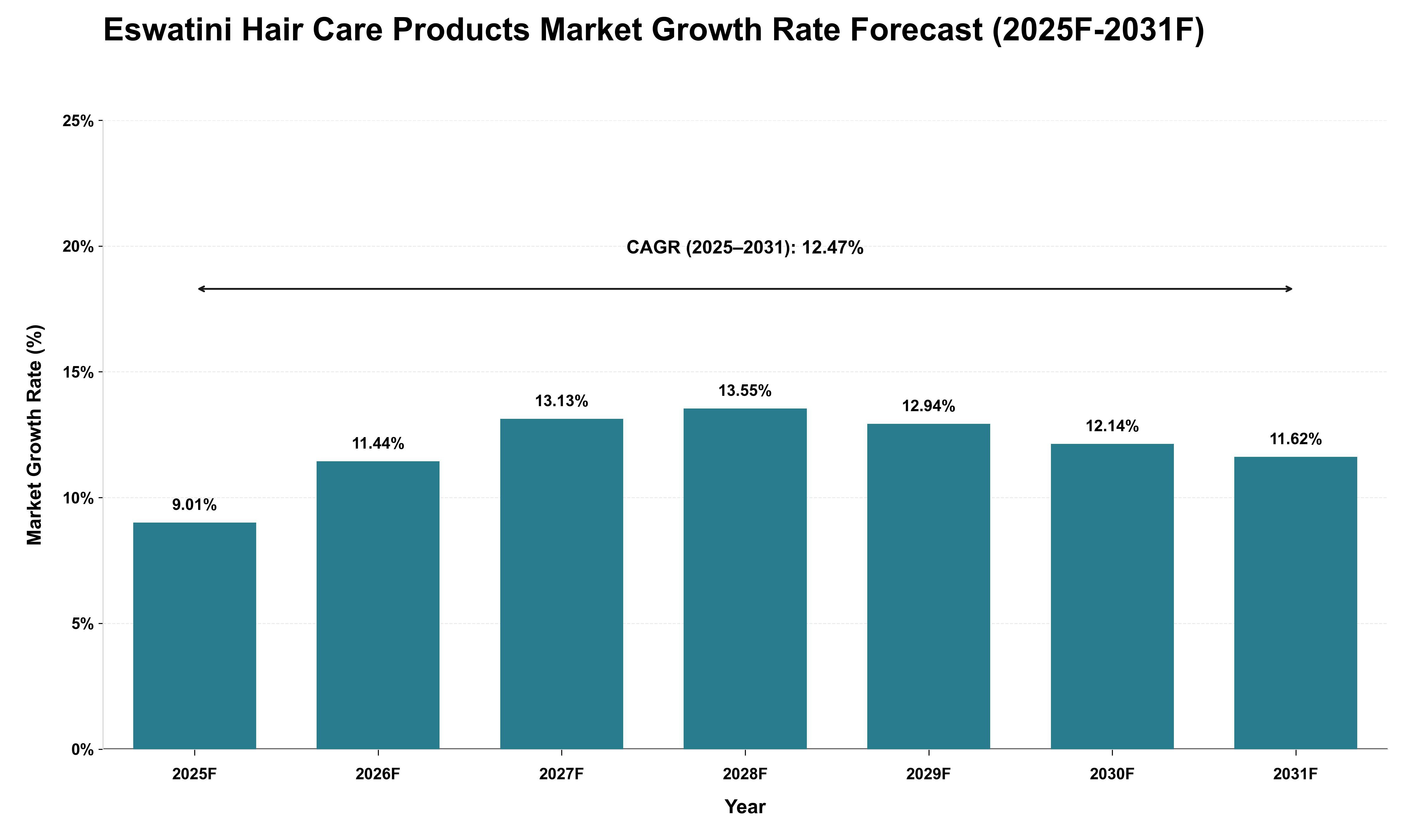 Eswatini Hair Care Products Market Growth Rate Analysis (2025 - 2031)