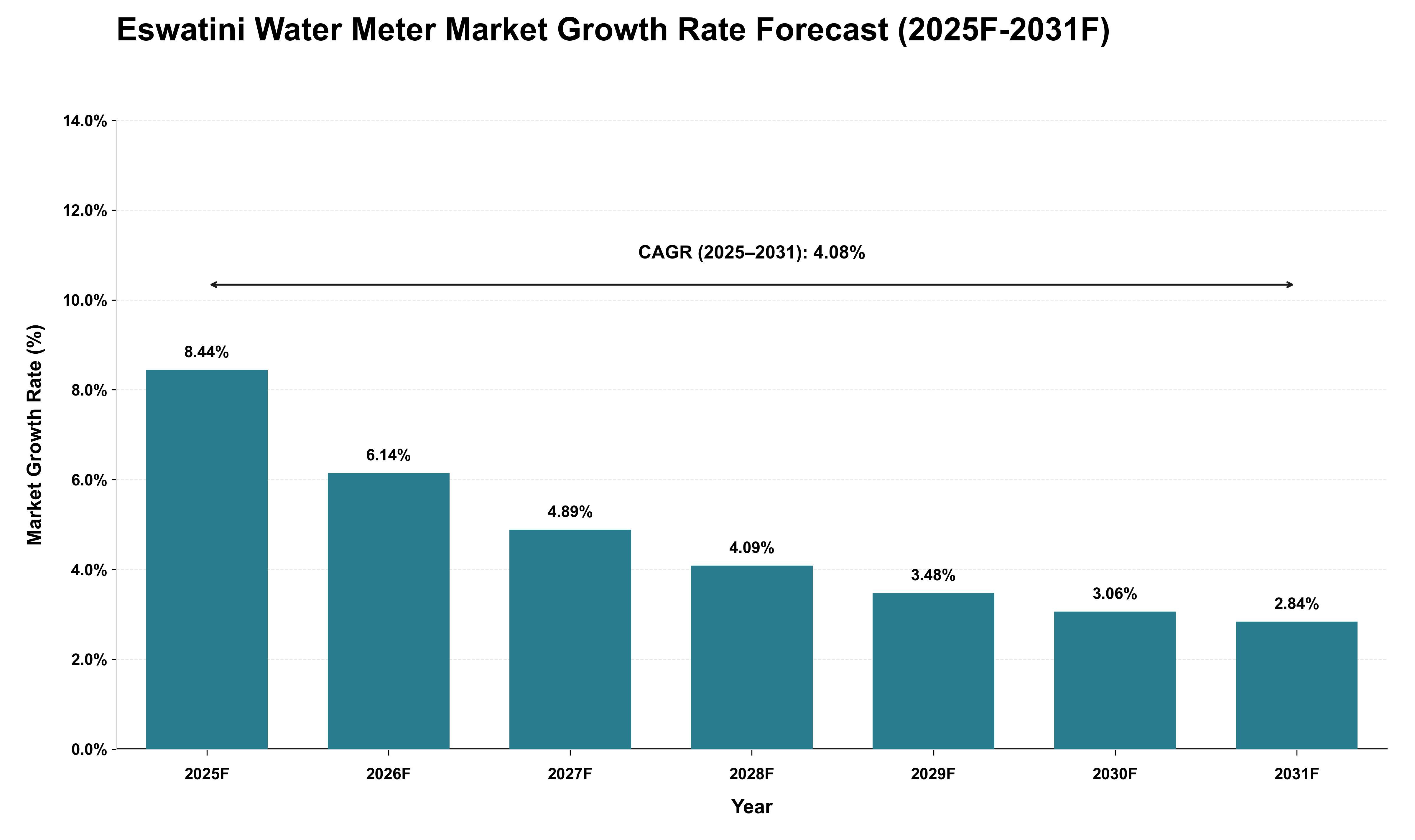 Eswatini Water Meter Market Growth Rate Analysis (2025 - 2031)