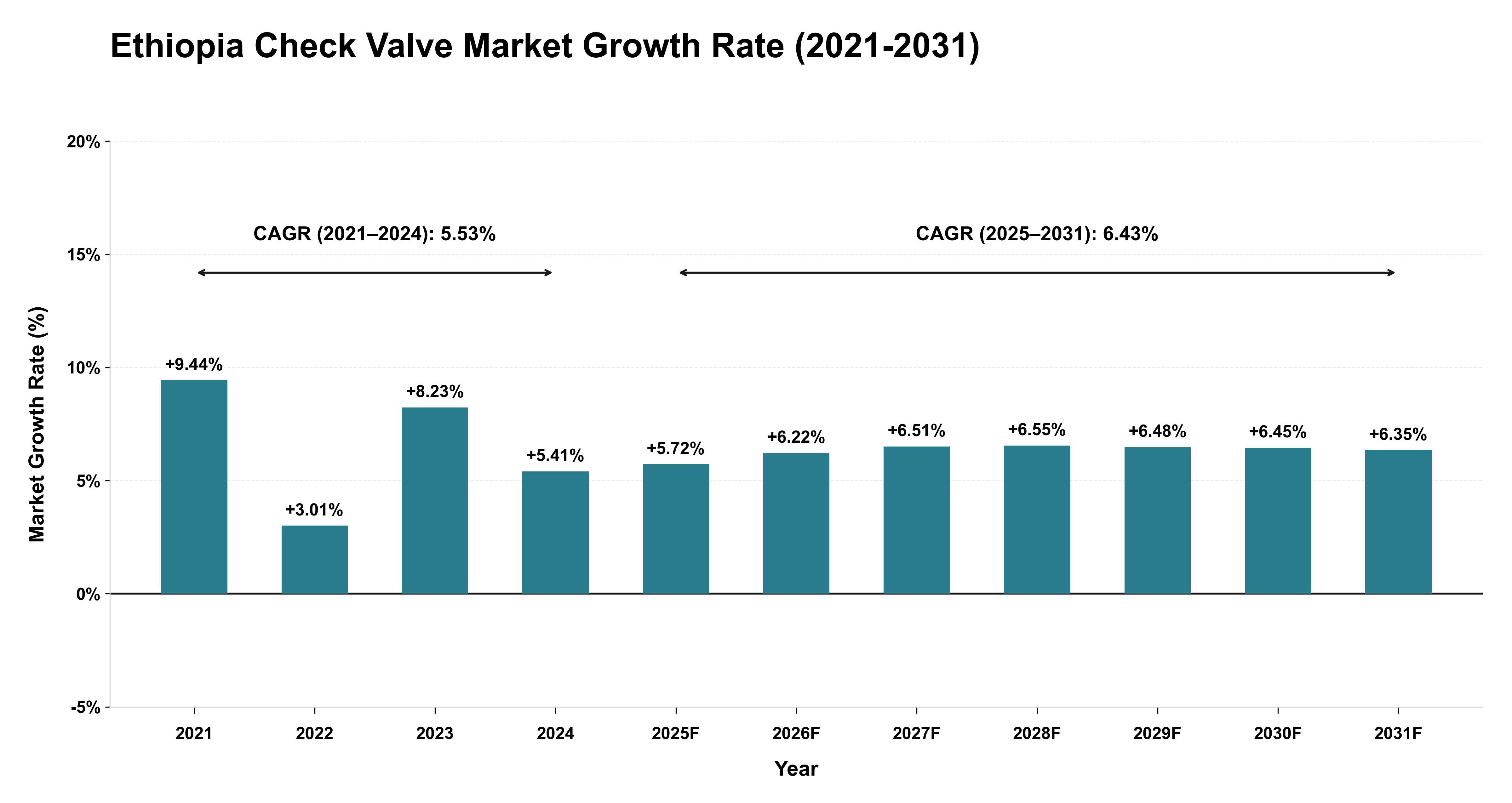Ethiopia Check Valve Market Growth Rate Analysis (2021-2031)