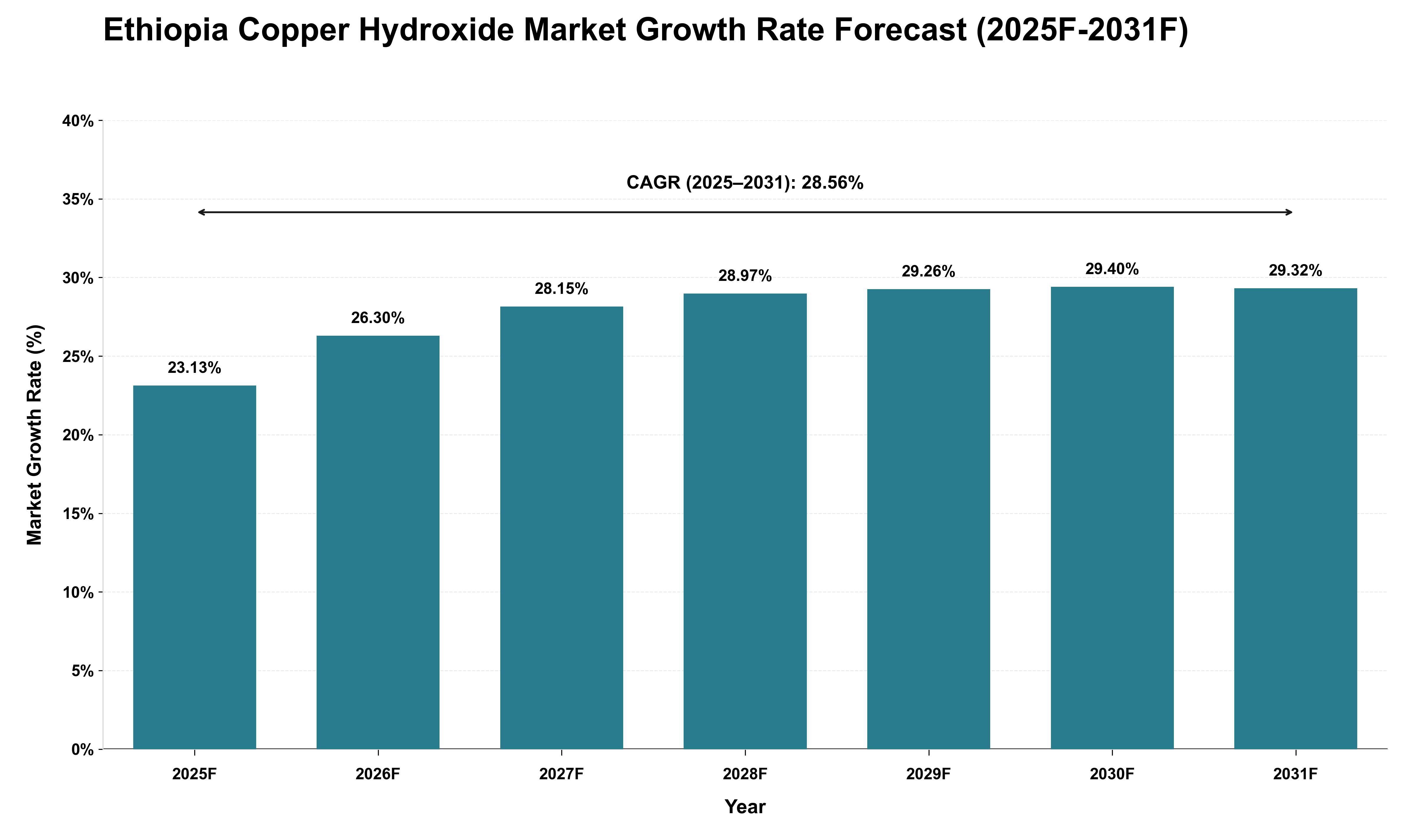 Ethiopia Copper Hydroxide Market Growth Rate Analysis (2025 - 2031)
