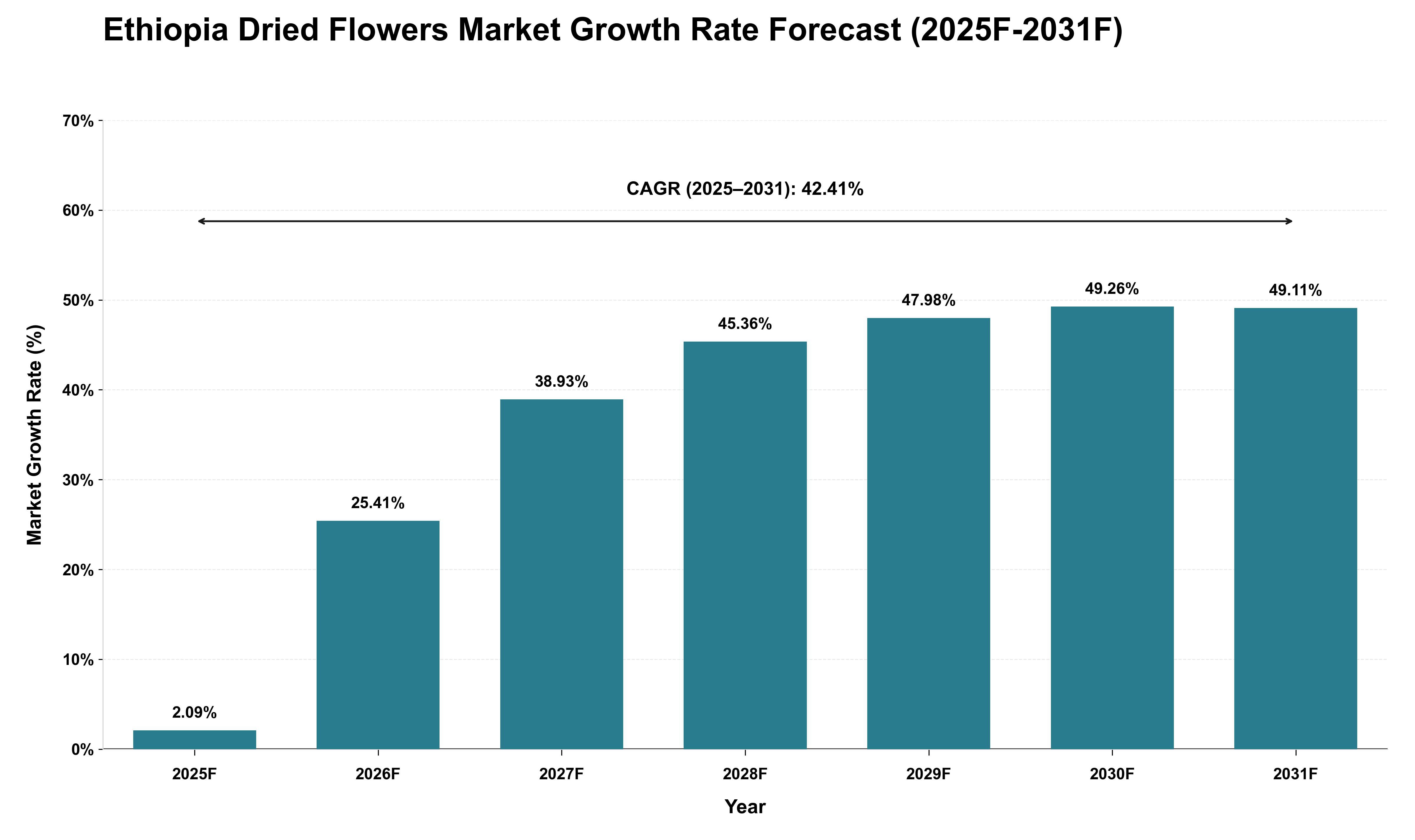 Ethiopia Dried Flowers Market Growth Rate Analysis (2025 - 2031)