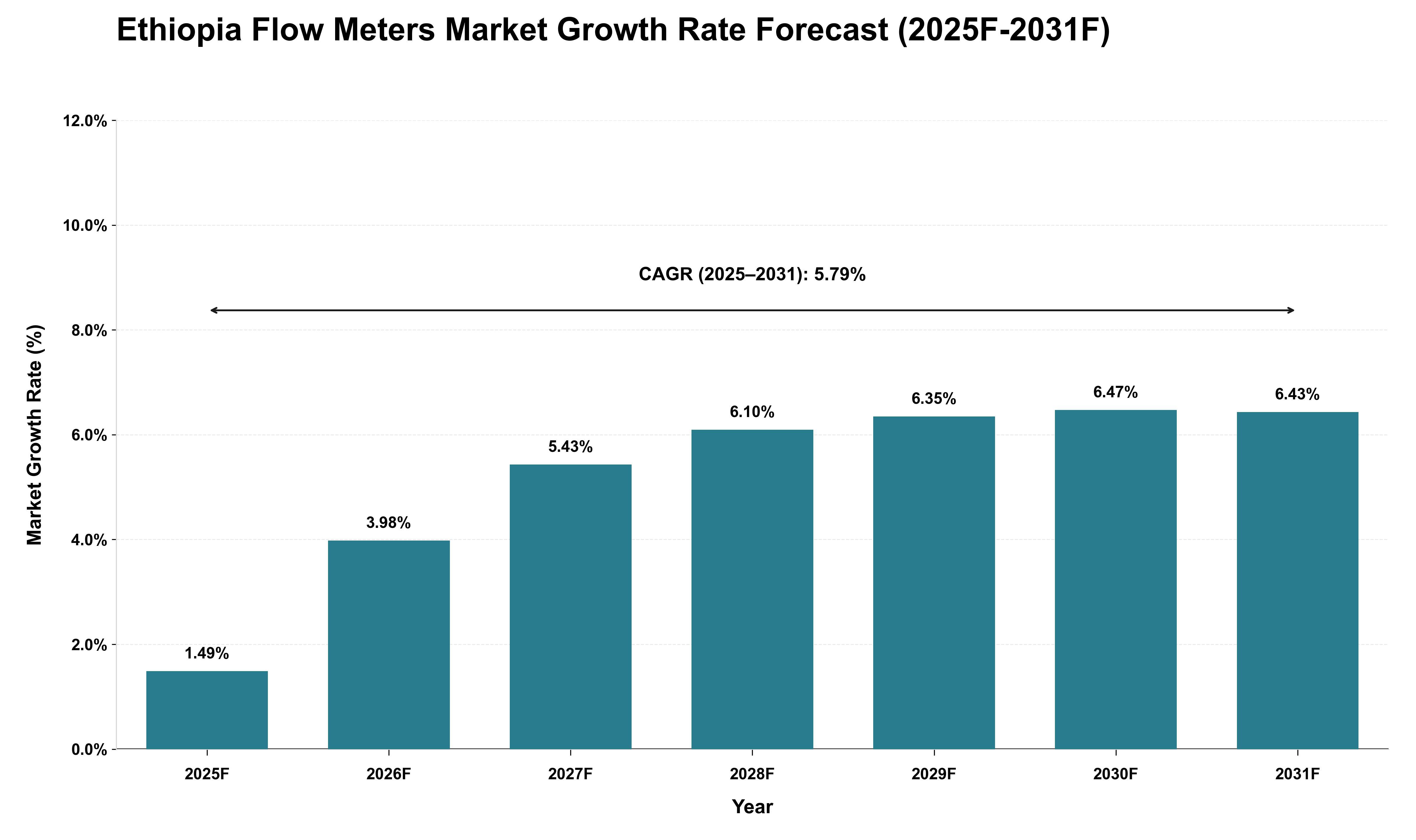 Ethiopia Flow Meters Market Growth Rate Analysis (2025 - 2031)