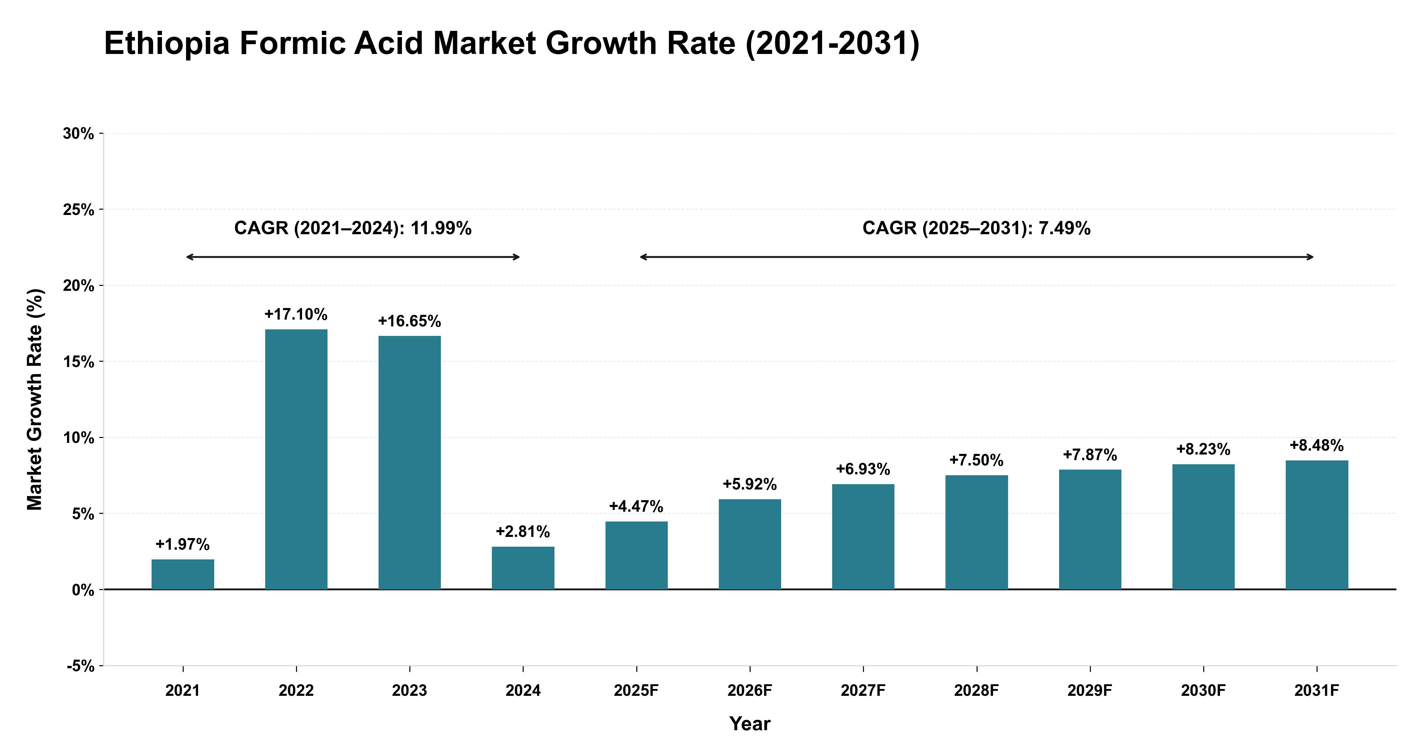 Ethiopia Formic Acid Market Growth Rate Analysis (2021-2031)