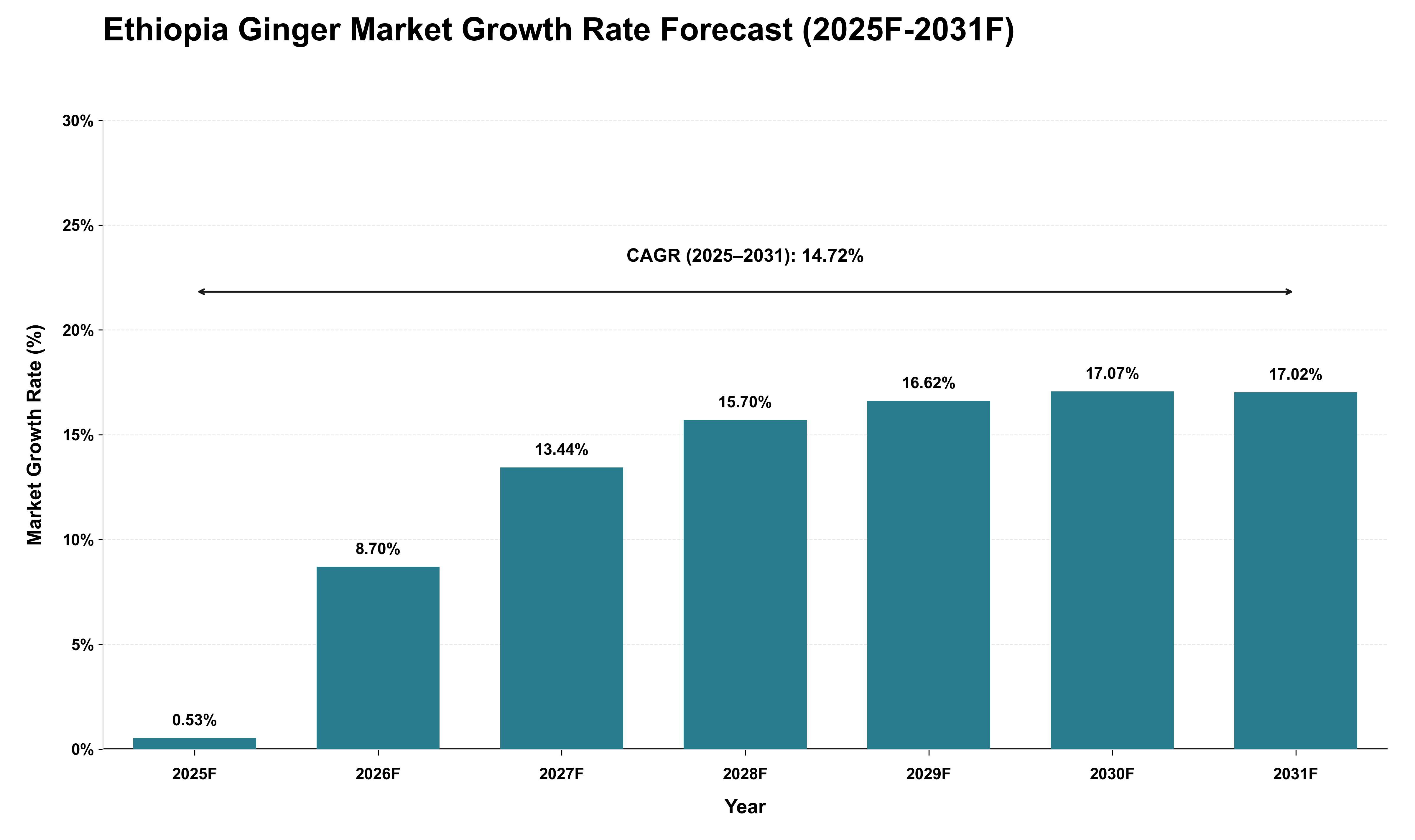 Ethiopia Ginger Market Growth Rate Analysis (2025 - 2031)