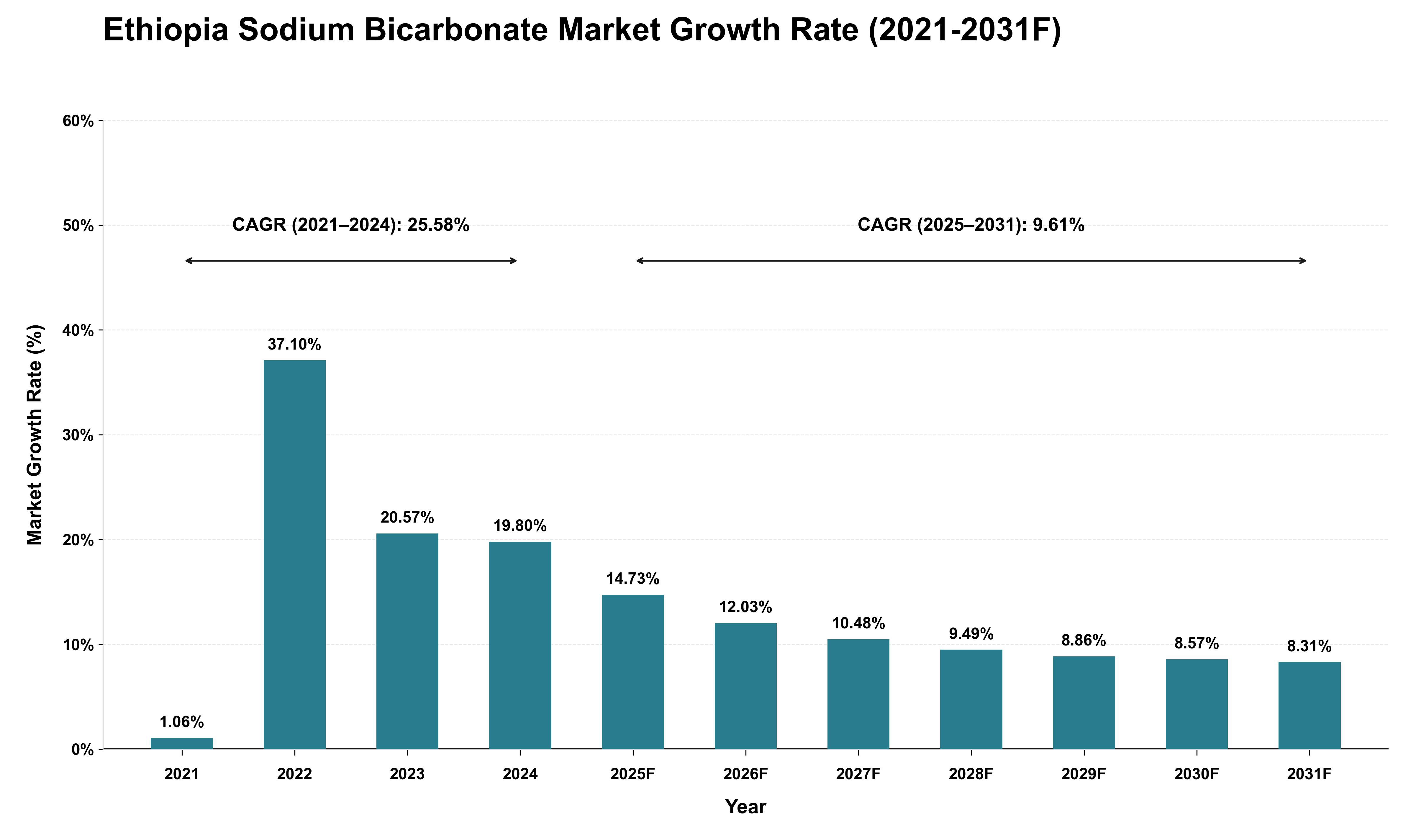 Ethiopia Sodium Bicarbonate Market Growth Rate Analysis (2021 - 2031)