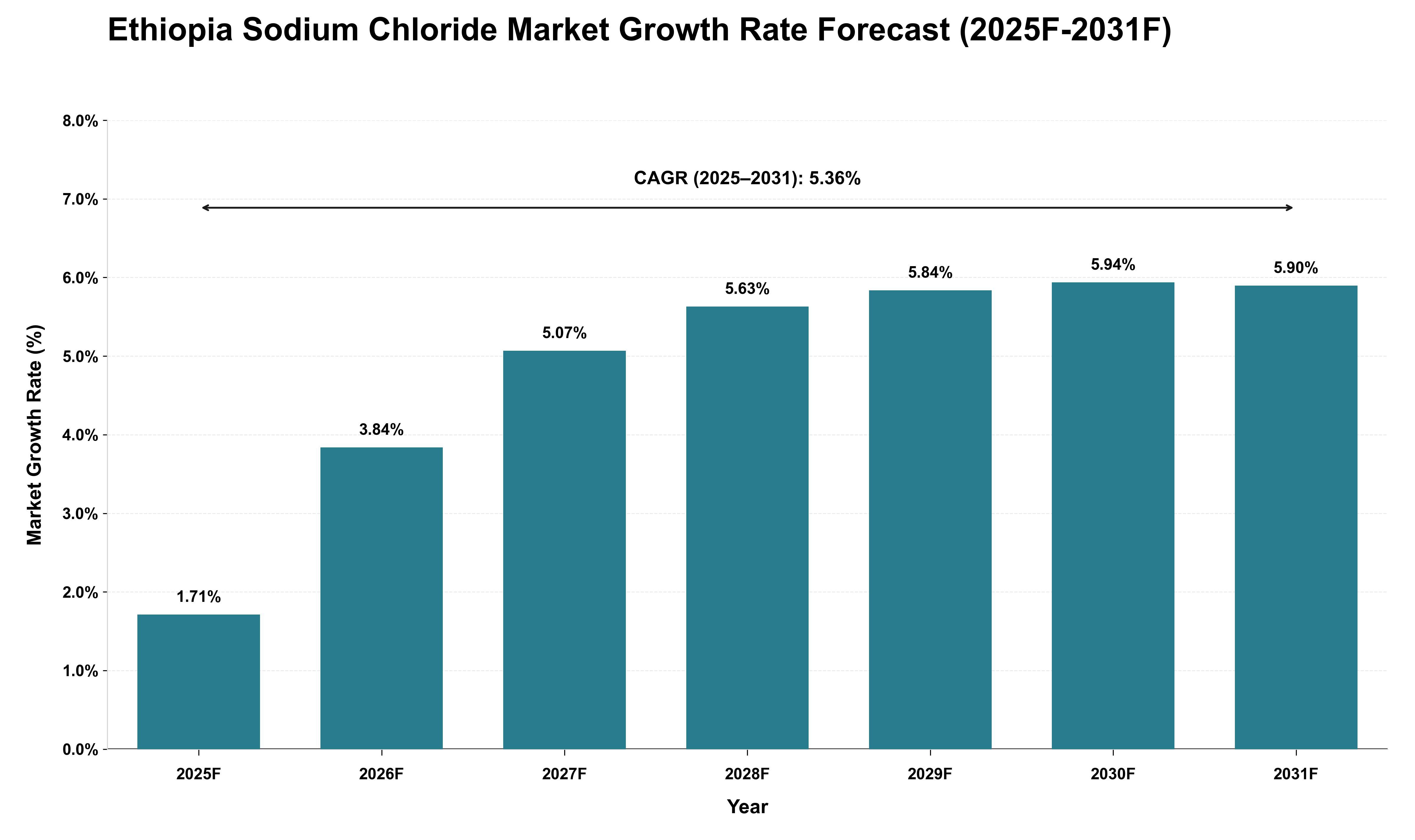 Ethiopia Sodium Chloride Market Growth Rate Analysis (2025 - 2031)