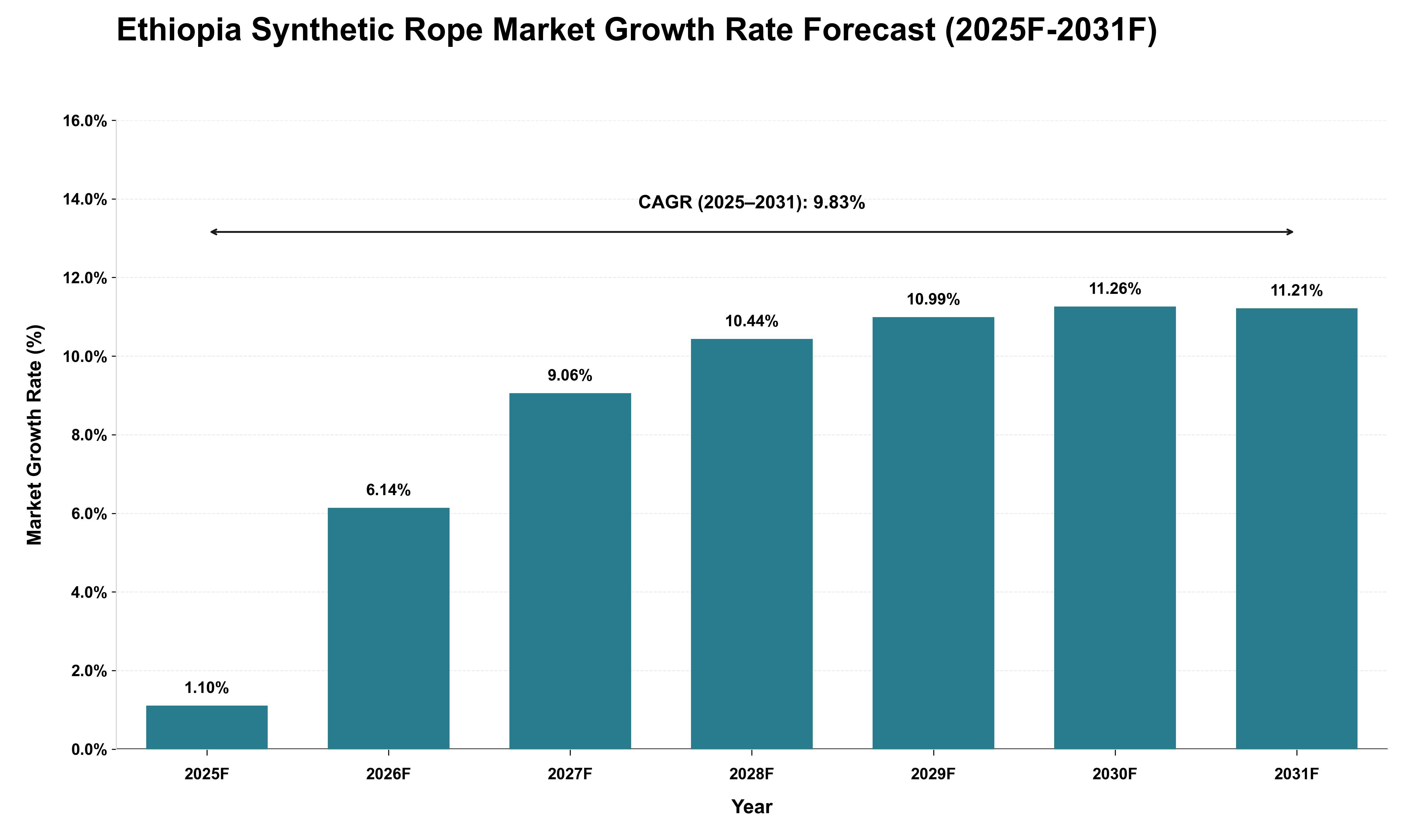 Ethiopia Synthetic Rope Market Growth Rate Analysis (2025 - 2031)