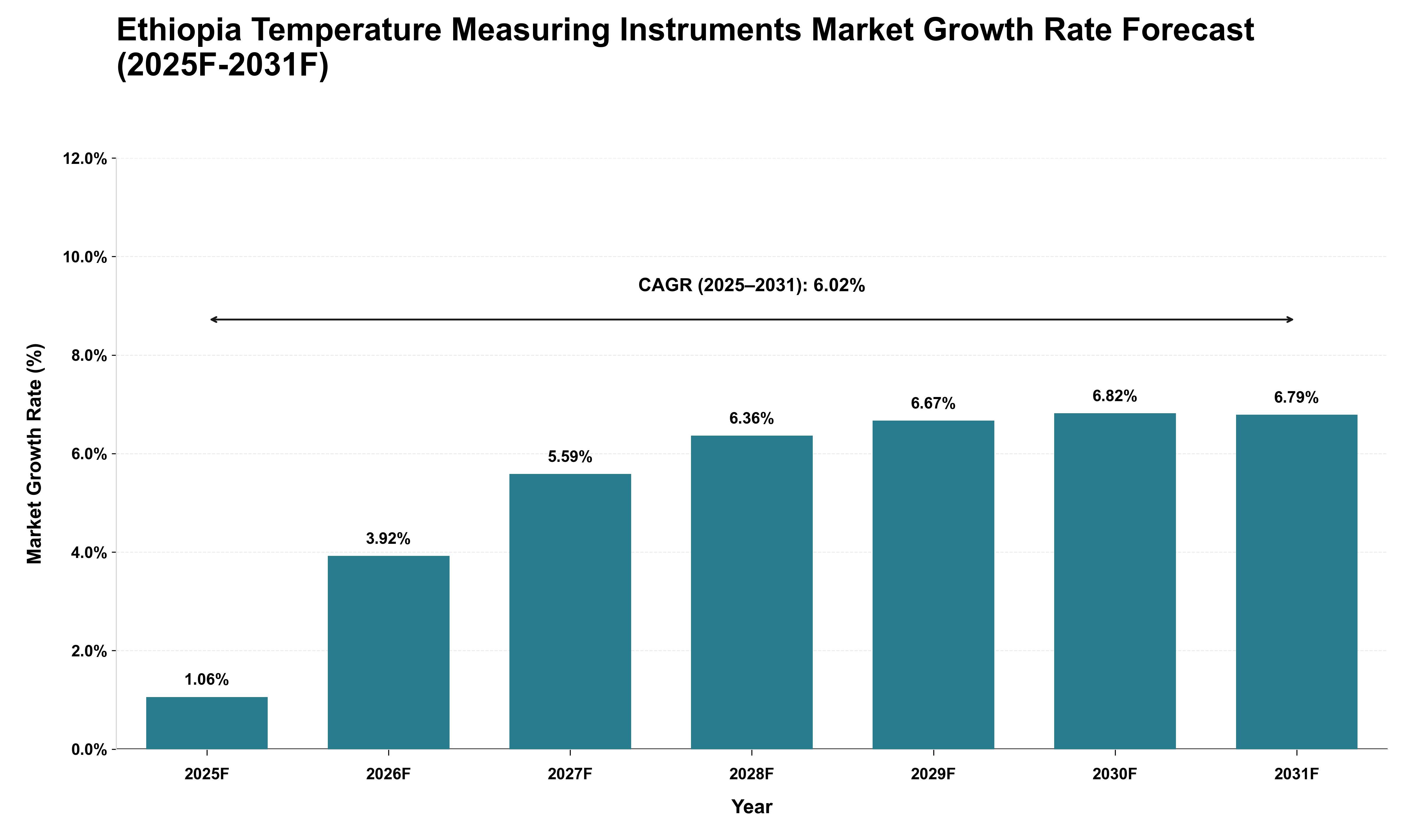 Ethiopia Temperature Measuring Instruments Market Growth Rate Analysis (2025 - 2031)