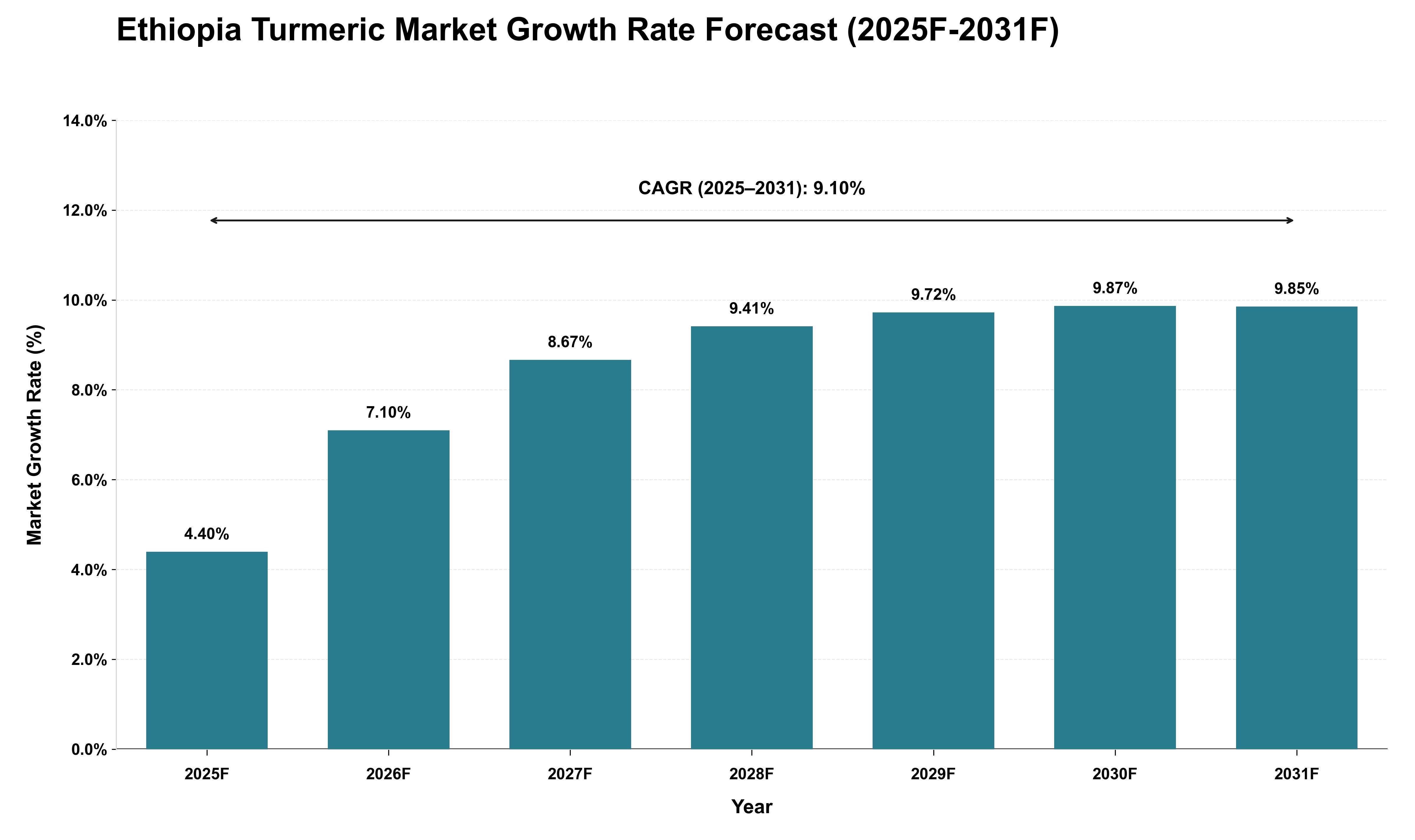 Ethiopia Turmeric Market Growth Rate Analysis (2025 - 2031)