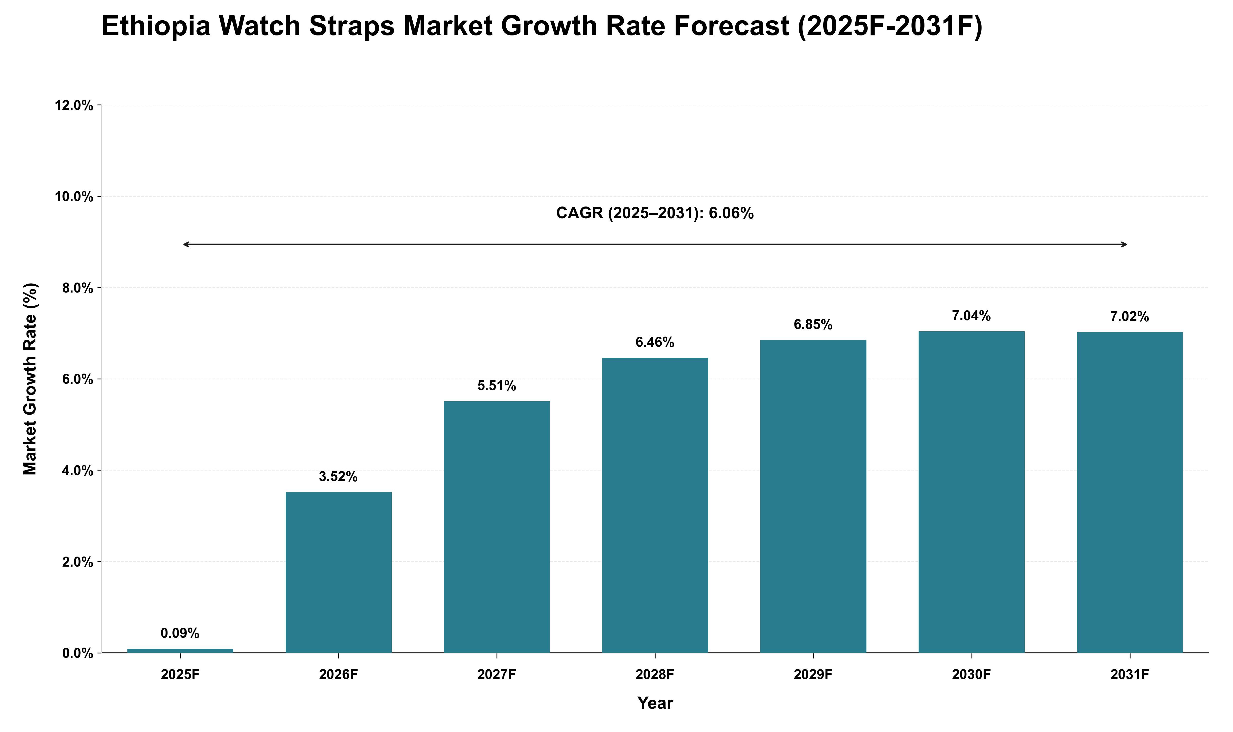 Ethiopia Watch Straps Market Growth Rate Analysis (2025 - 2031)