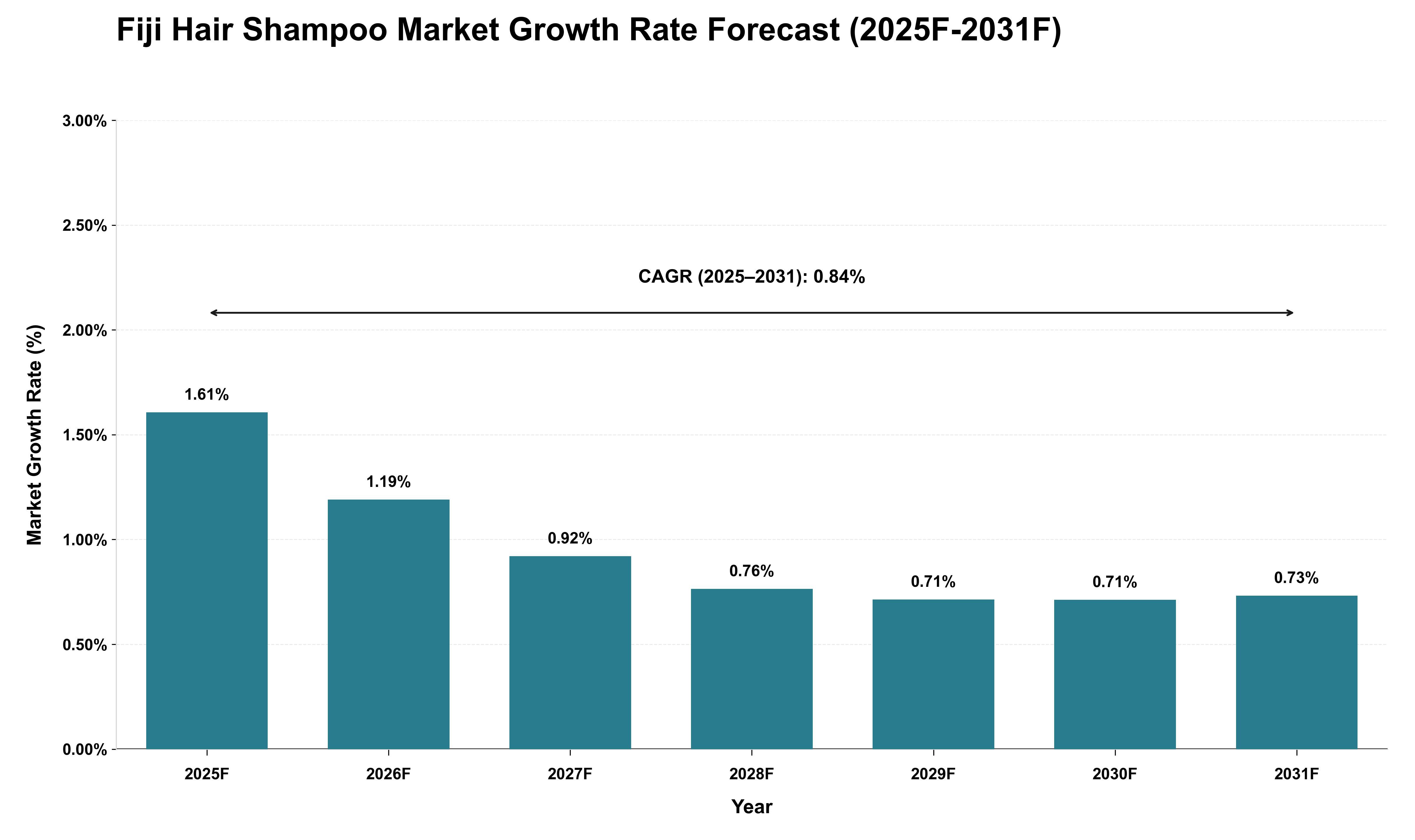 Fiji Hair Shampoo Market Growth Rate Analysis (2025 - 2031)