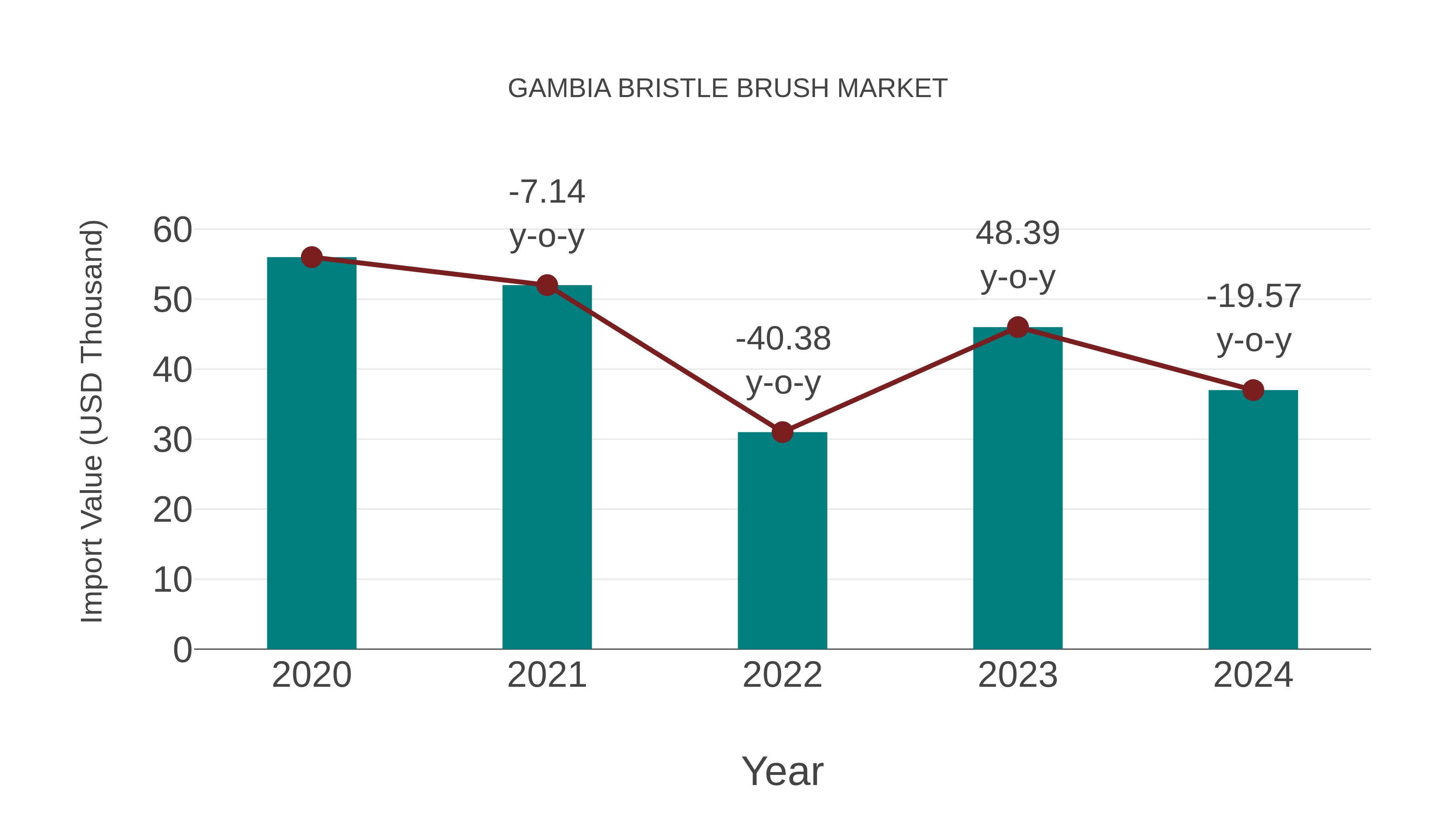  Gambia Bristle Brush Market: Import Trend Analysis