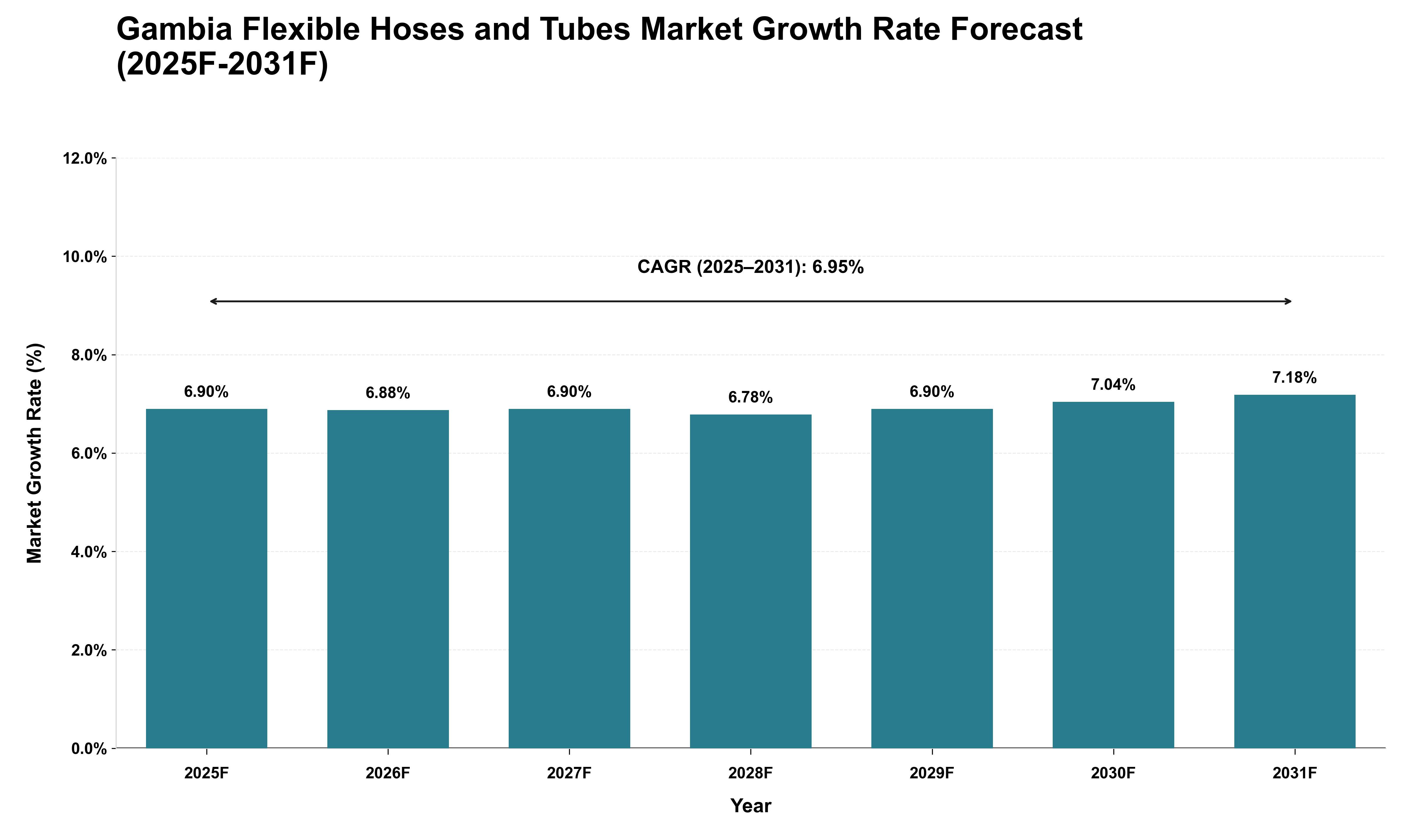 Gambia Flexible Hoses and Tubes Market Growth Rate Analysis (2025 - 2031)
