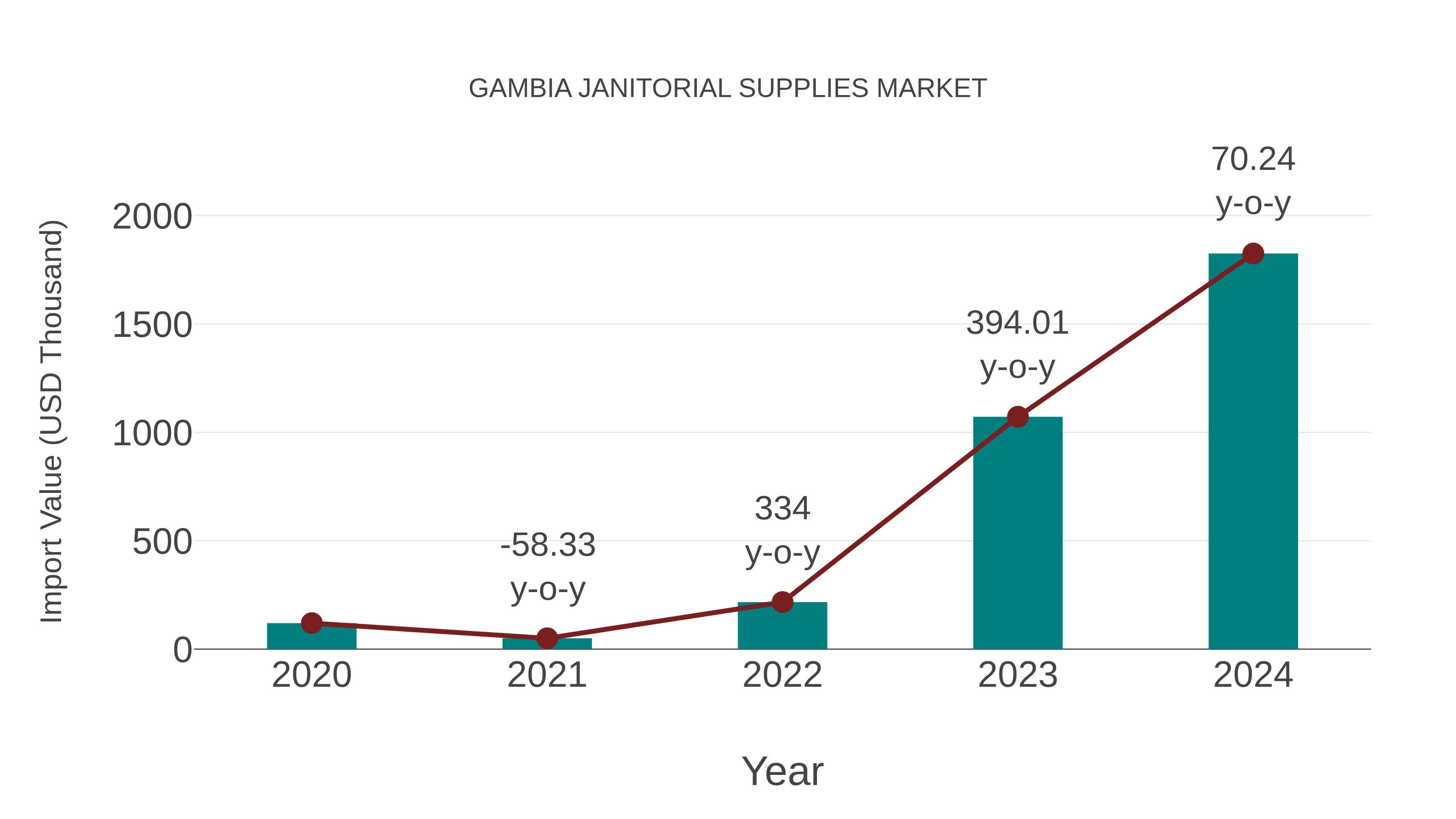  Gambia Janitorial Supplies Market: Import Trend Analysis