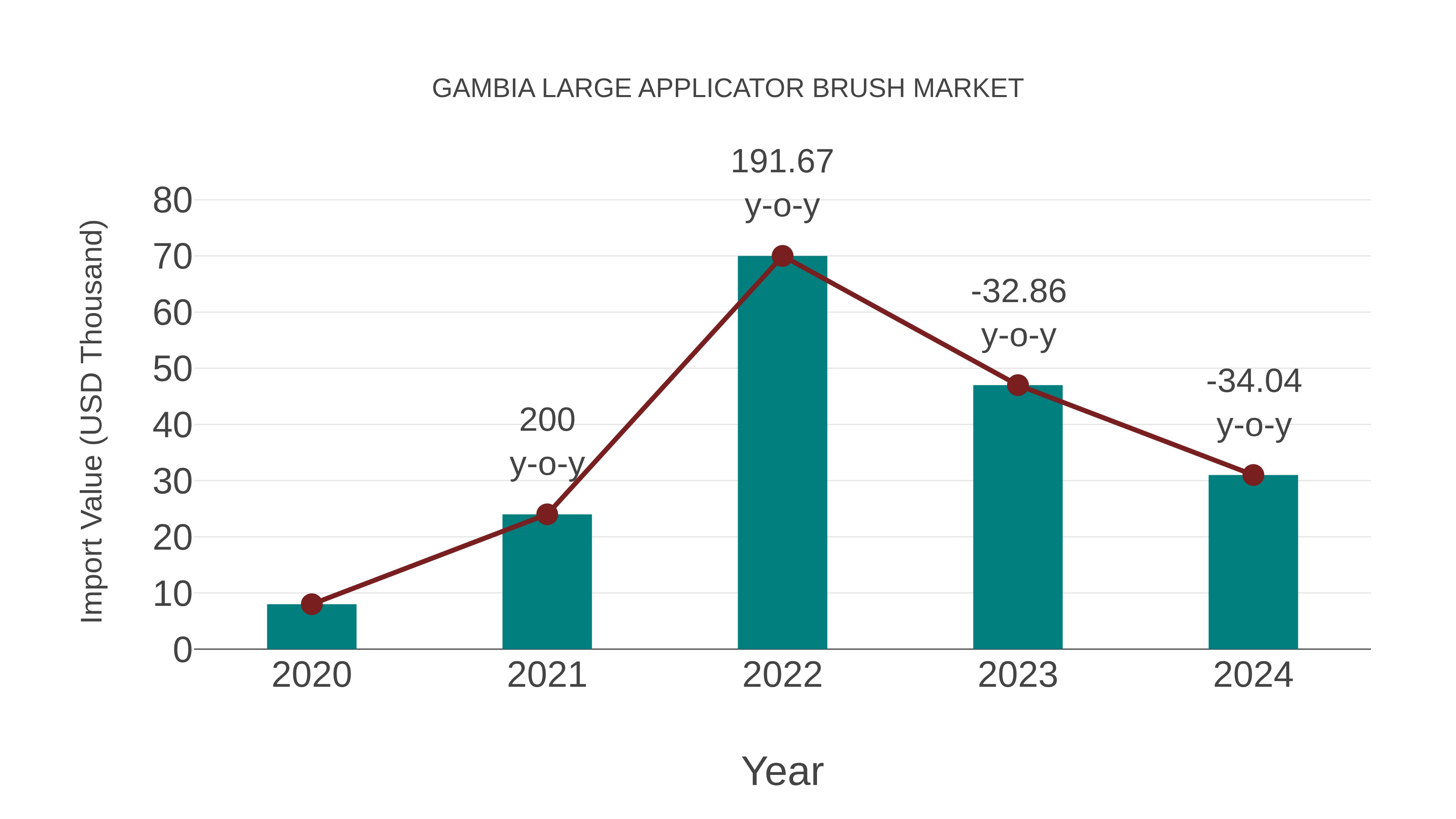  Gambia Large Applicator Brush Market: Import Trend Analysis