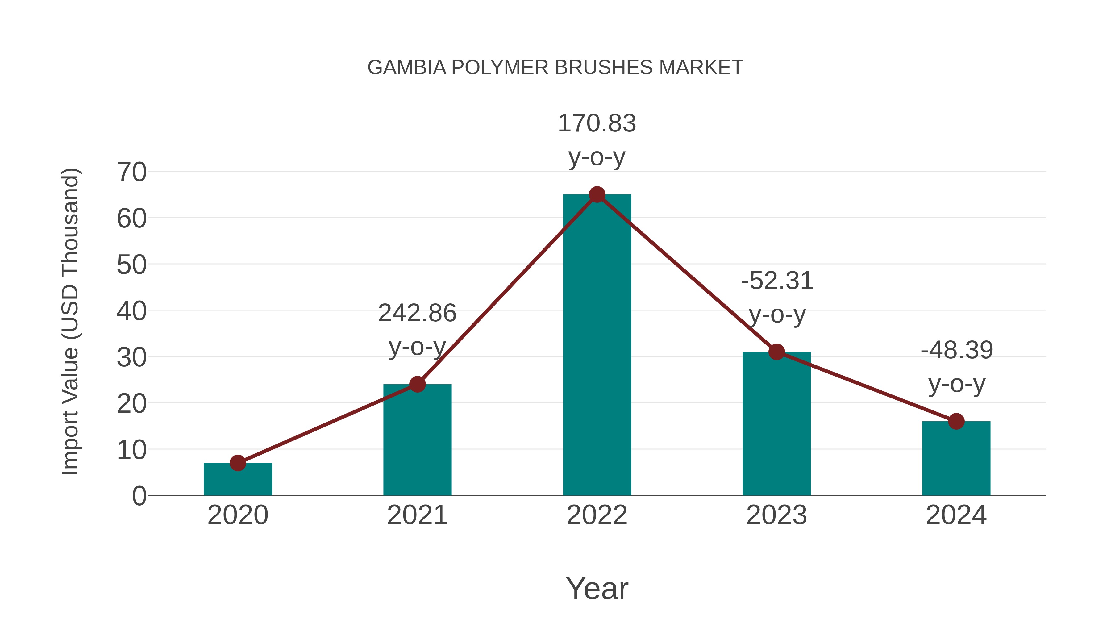  Gambia Polymer Brushes Market: Import Trend Analysis