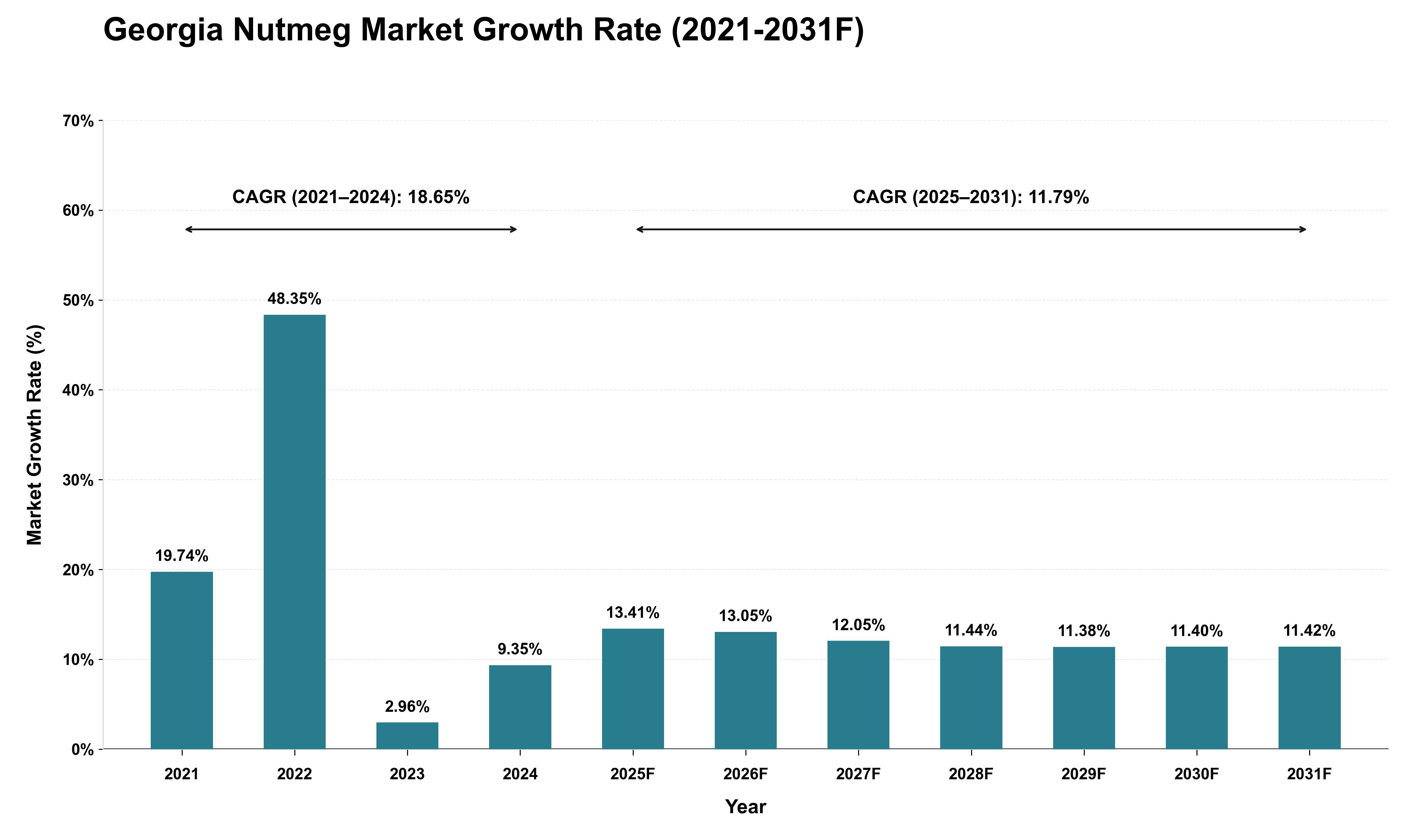 Georgia Nutmeg Market Growth Rate Analysis (2021 - 2031)