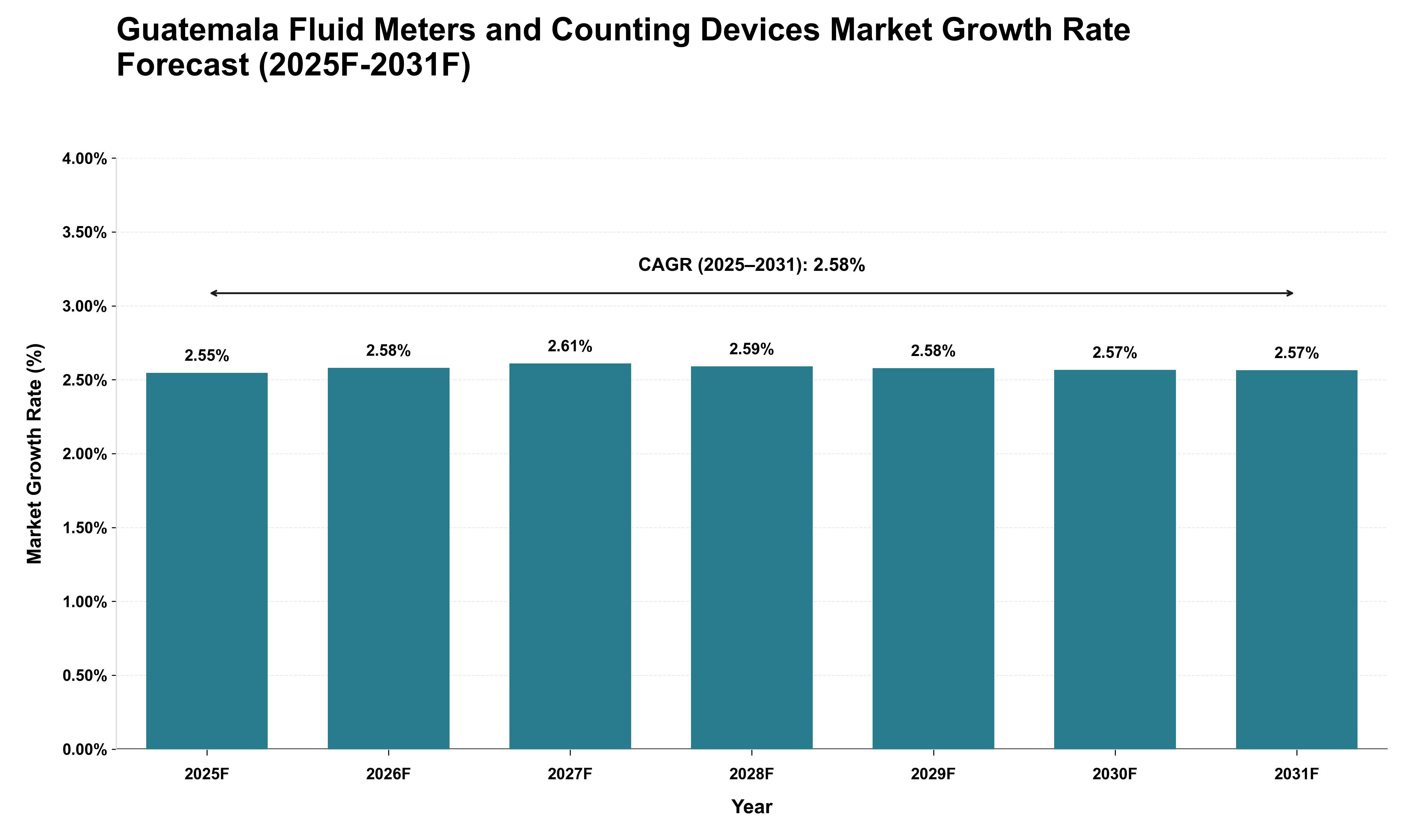 Guatemala Fluid Meters and Counting Devices Market Growth Rate Analysis (2025 - 2031)