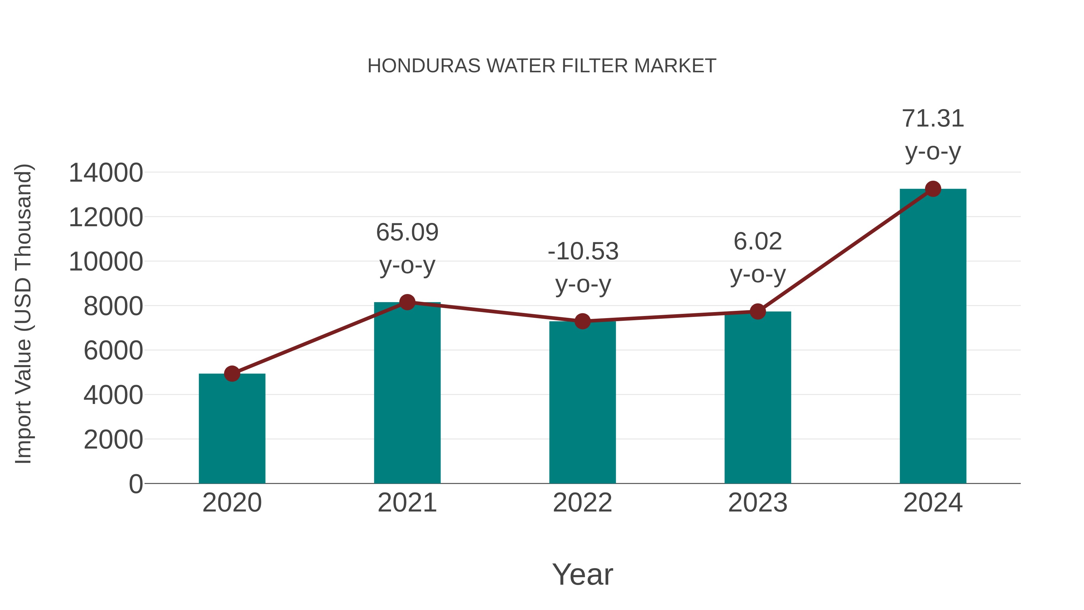  Honduras Water Filter Market: Import Trend Analysis