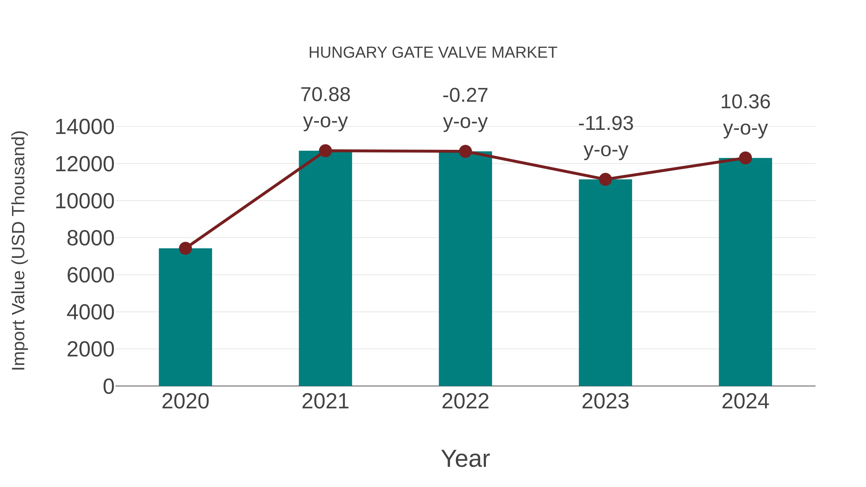  Hungary Gate Valve Market: Import Trend Analysis