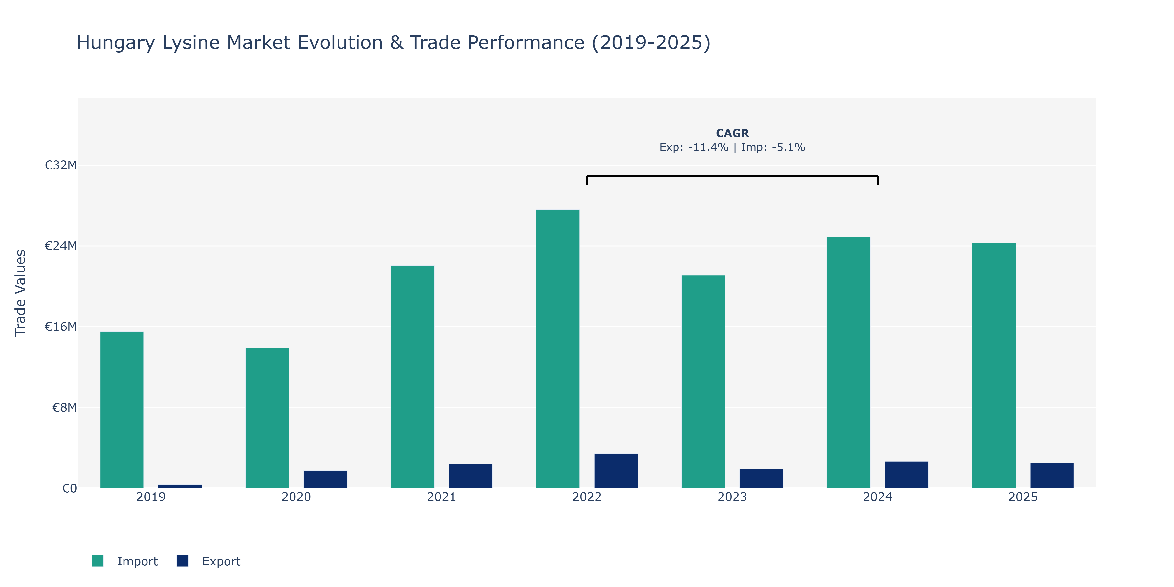 Hungary Lysine Market: Production & Trade Performance (2019-2025)