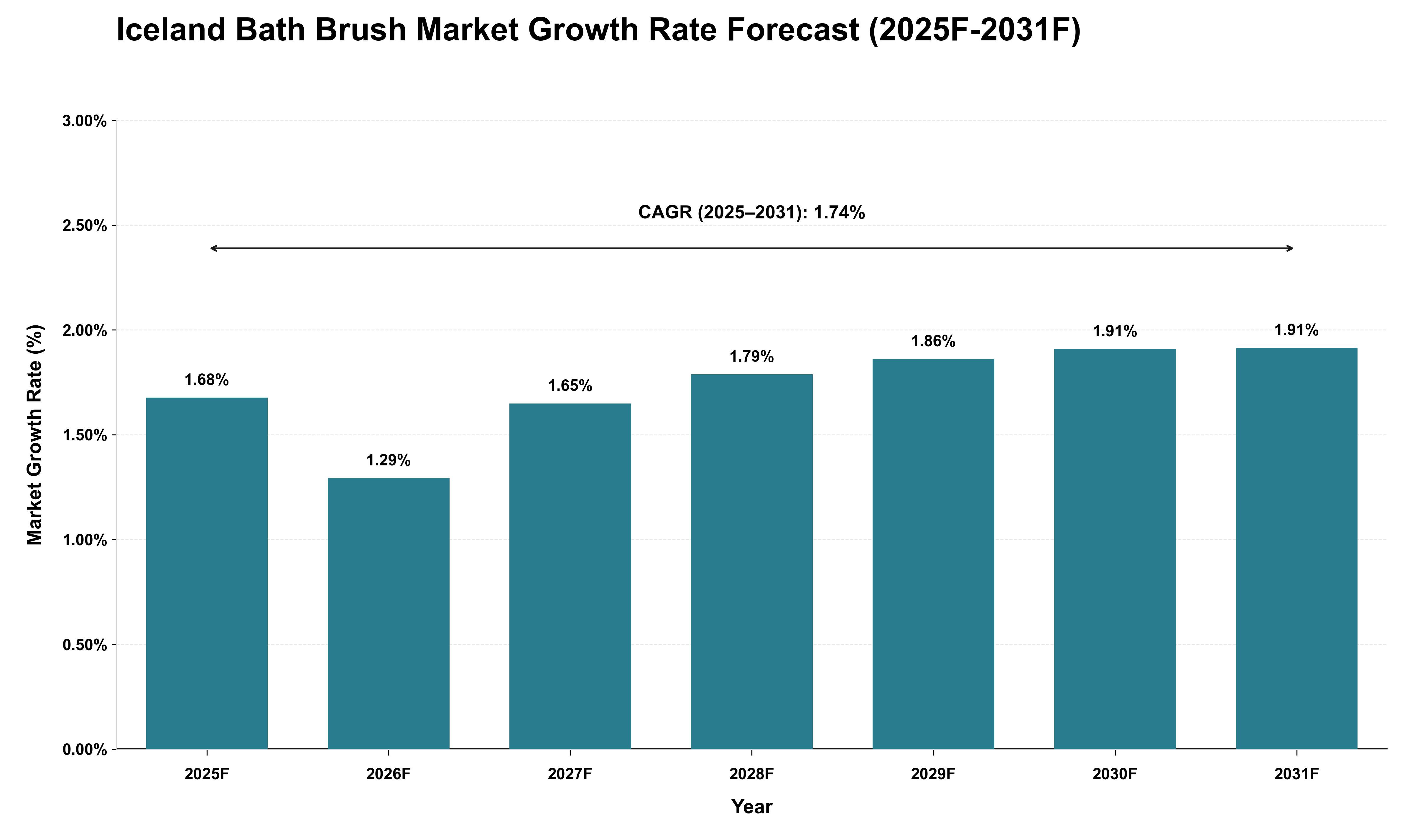 Iceland Bath Brush Market Growth Rate Analysis (2025 - 2031)