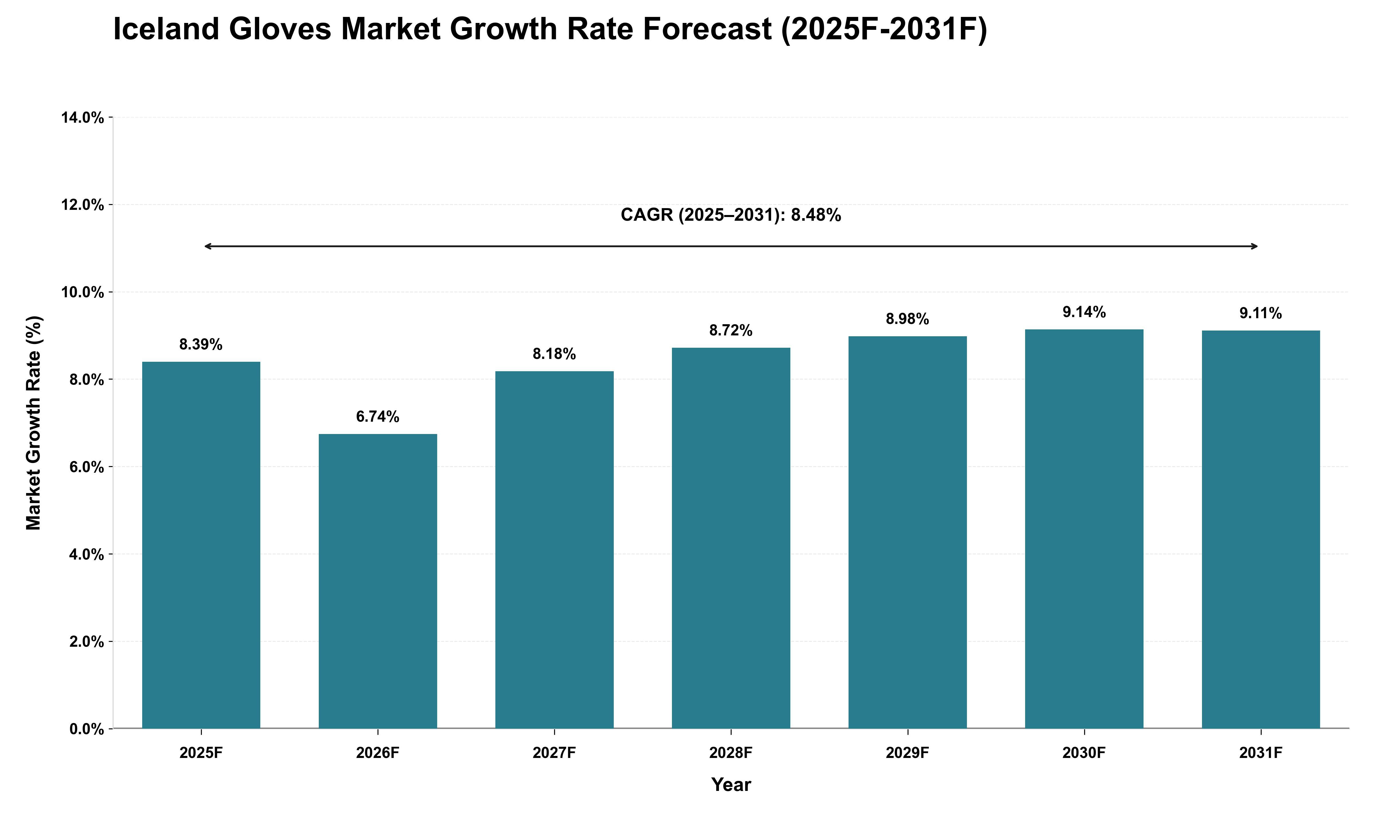 Iceland Gloves Market Growth Rate Analysis (2025 - 2031)