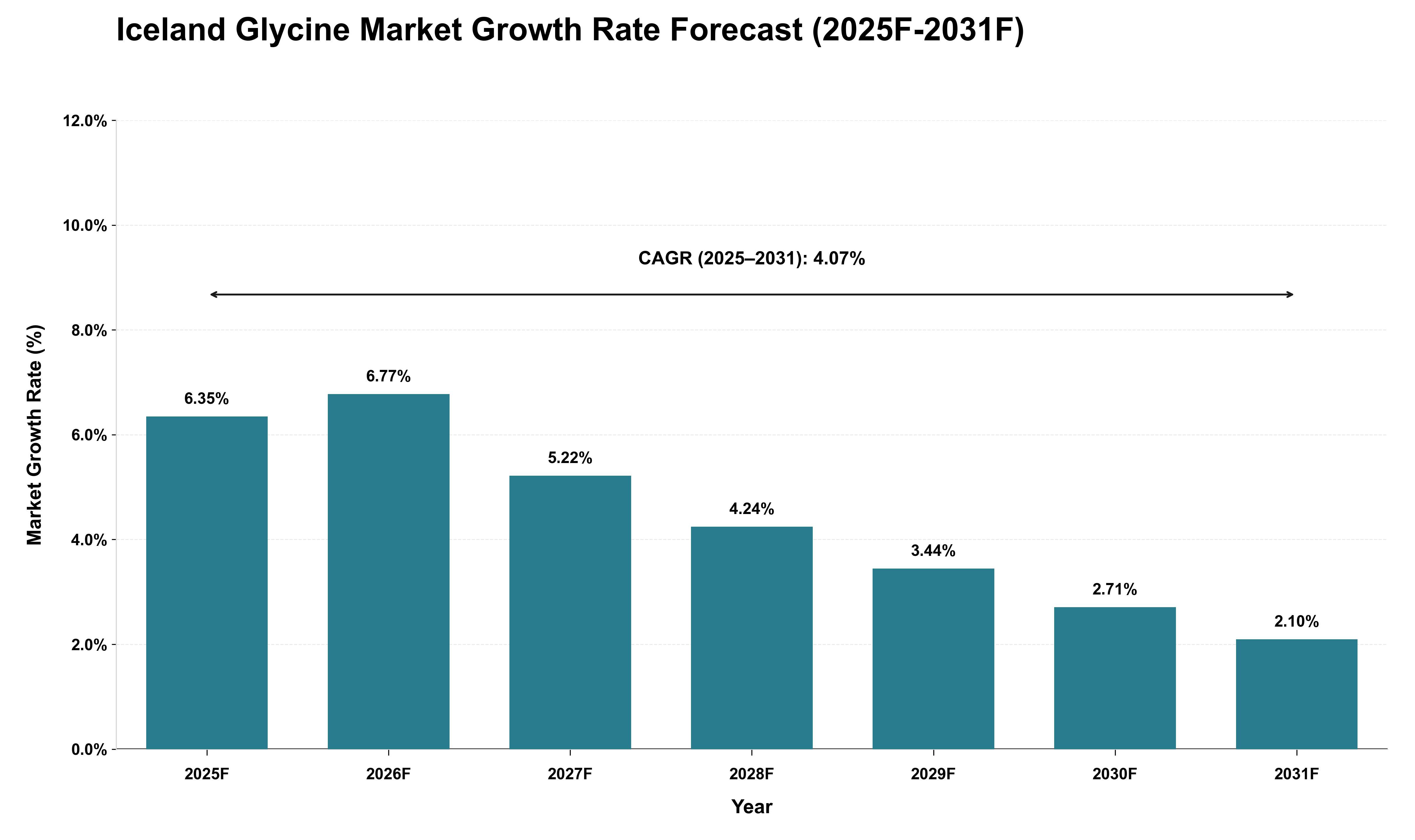 Iceland Glycine Market Growth Rate Analysis (2025 - 2031)