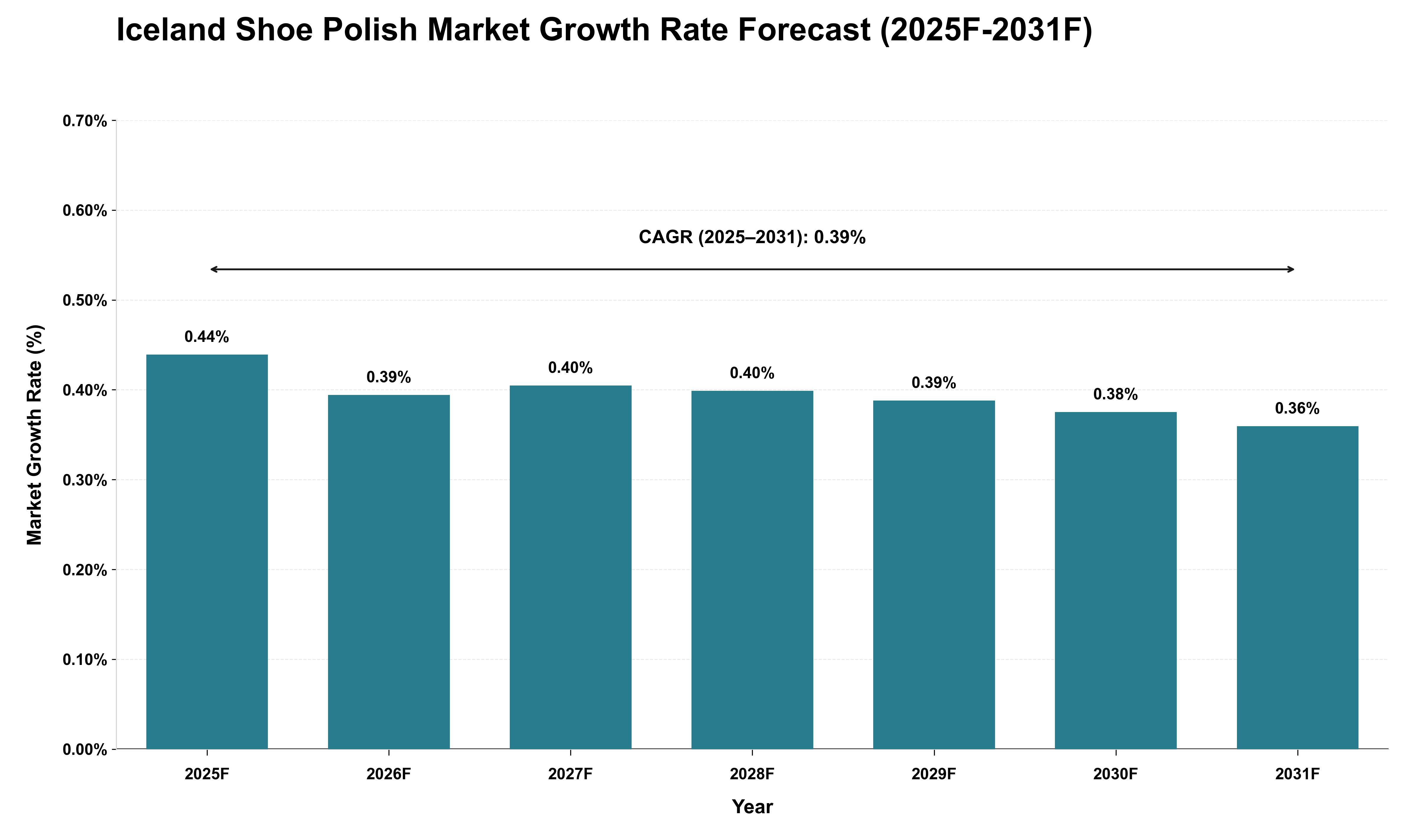 Iceland Shoe Polish Market Growth Rate Analysis (2025 - 2031)