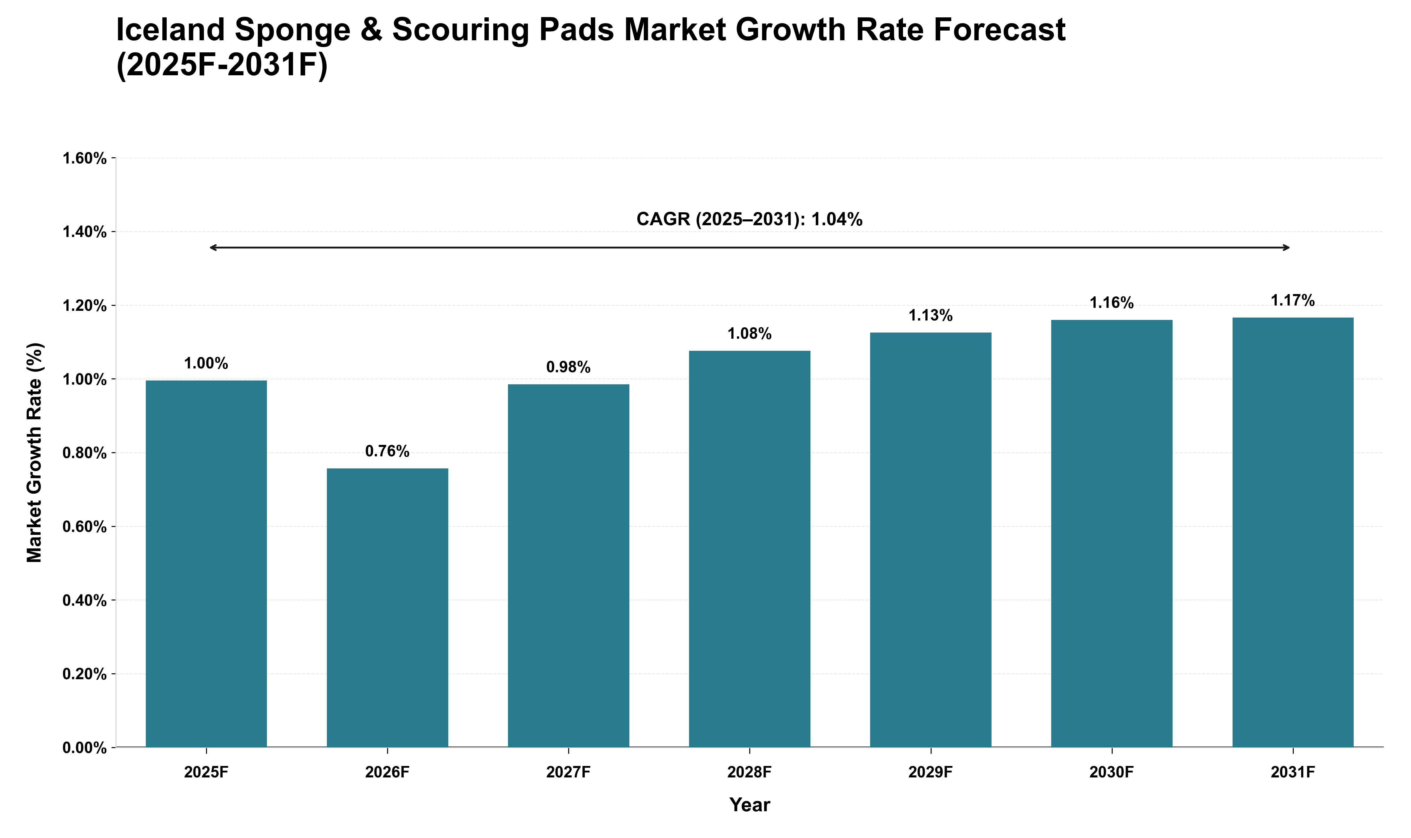 Iceland Sponge & Scouring Pads Market Growth Rate Analysis (2025 - 2031)