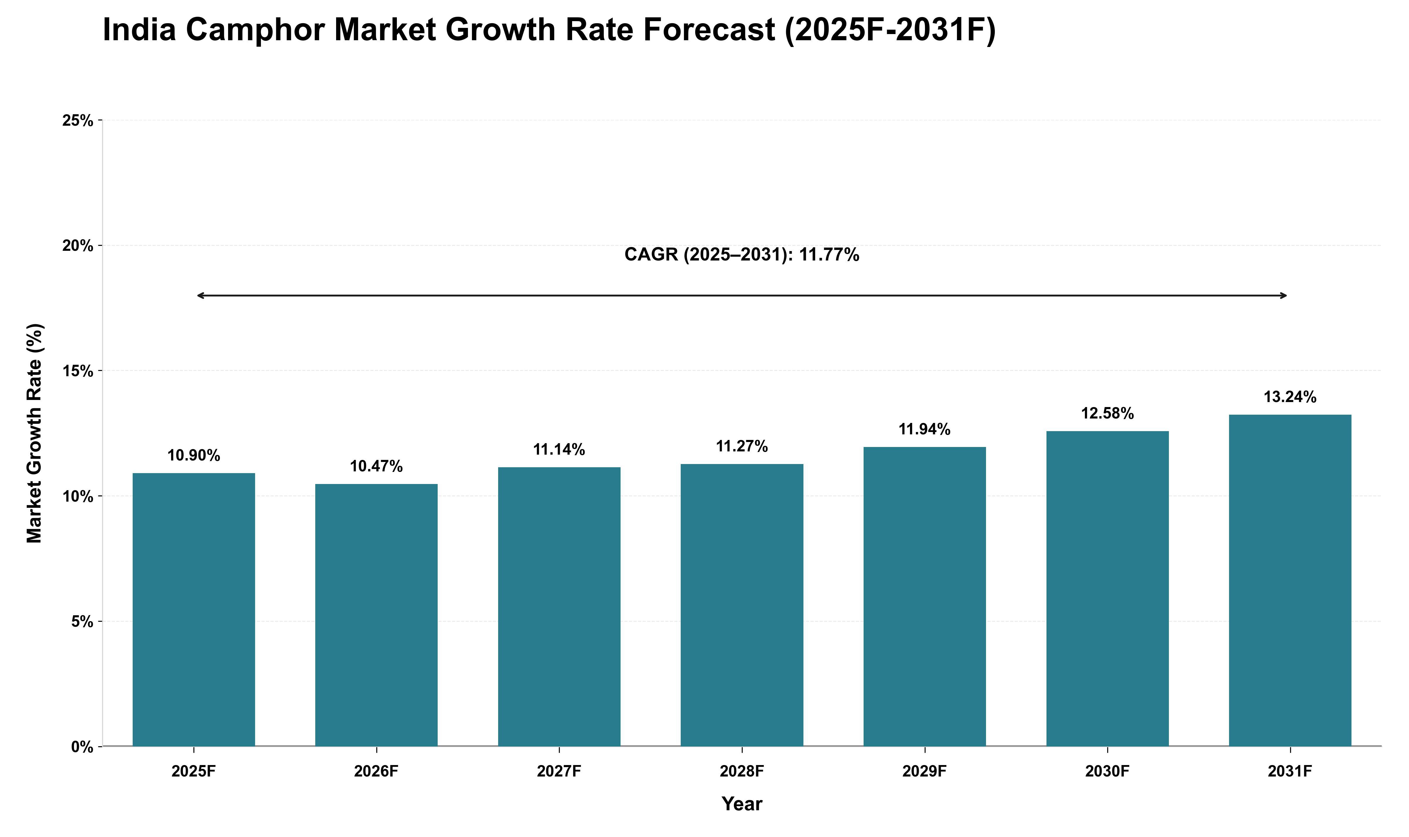 India Camphor Market Growth Rate Analysis (2025 - 2031)
