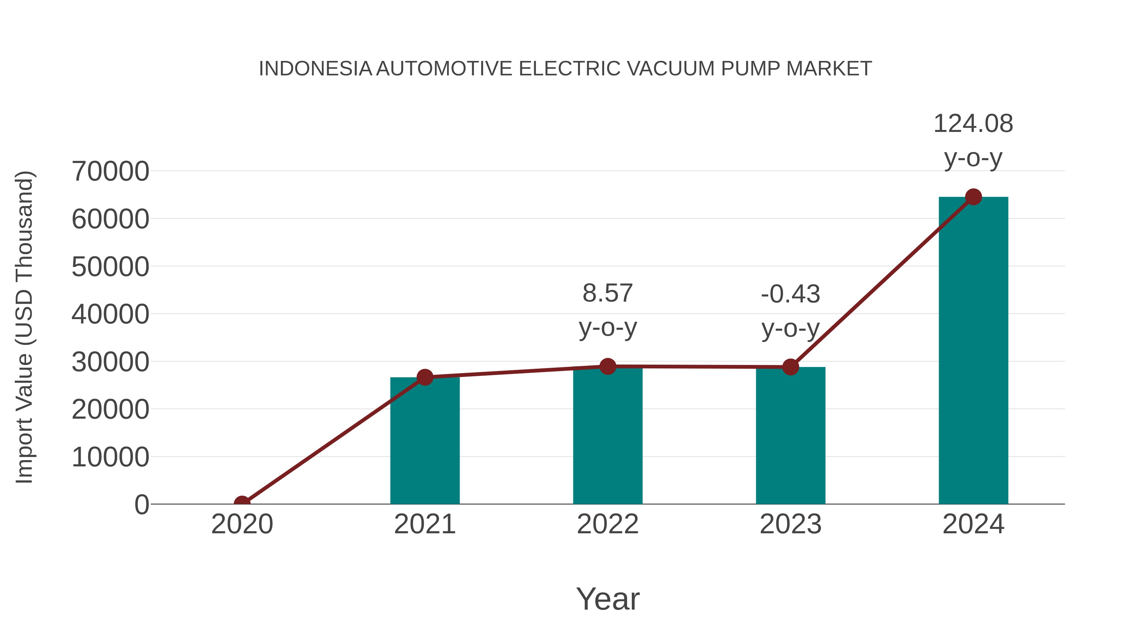Indonesia Automotive Electric Vacuum Pump Market: Import Trend Analysis