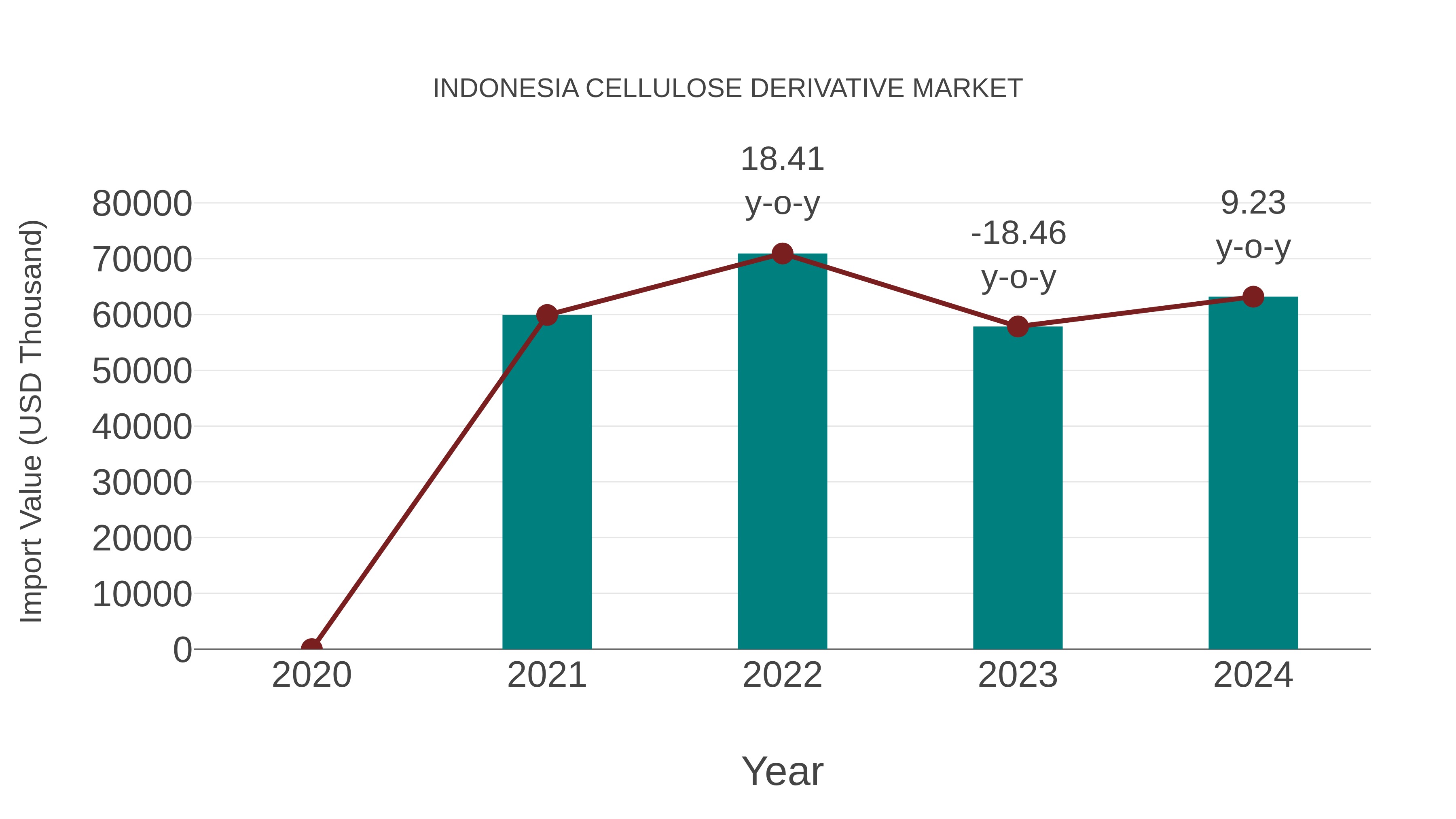  Indonesia Cellulose Derivative Market: Import Trend Analysis
