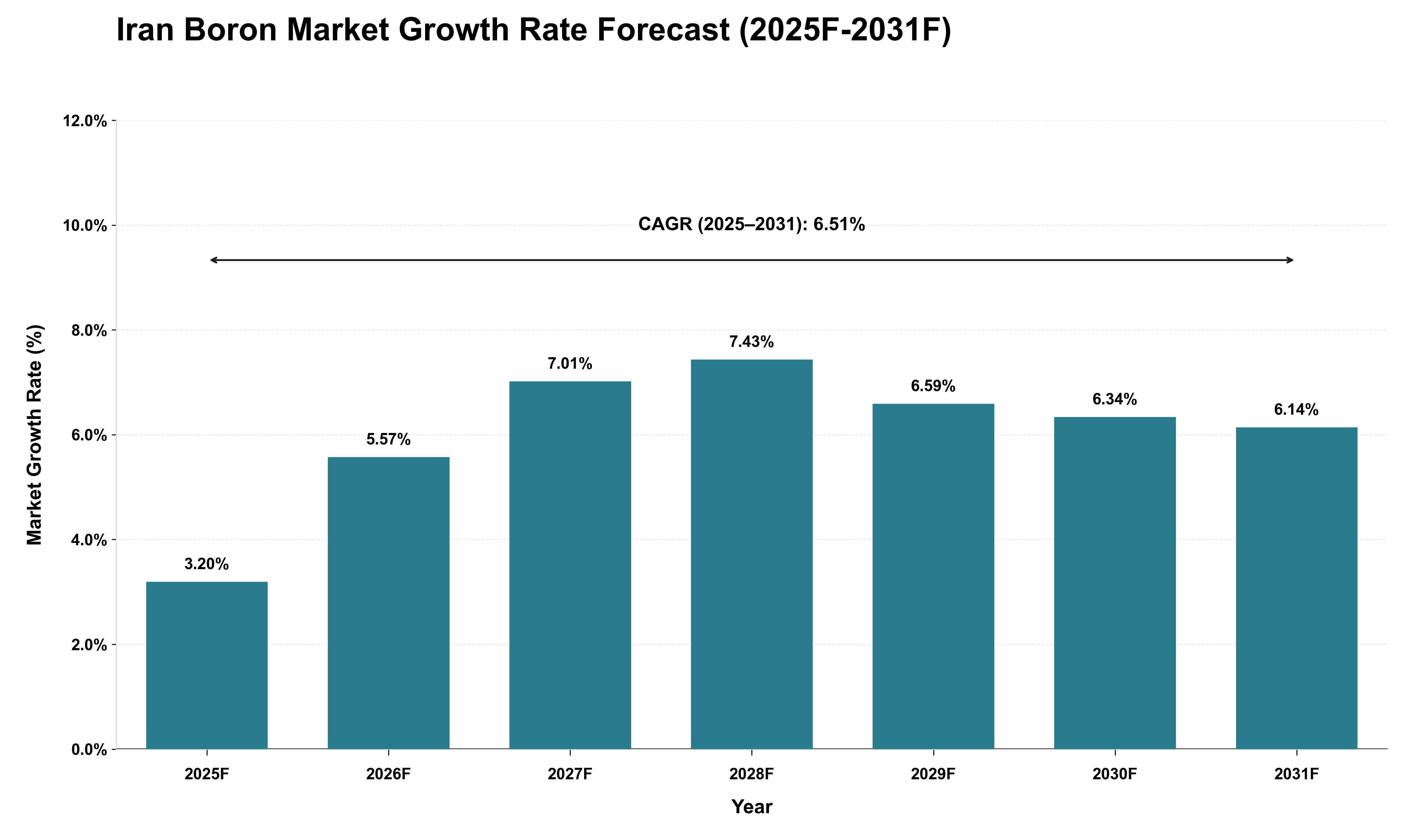 Iran Boron Market Growth Rate Analysis (2025 - 2031)
