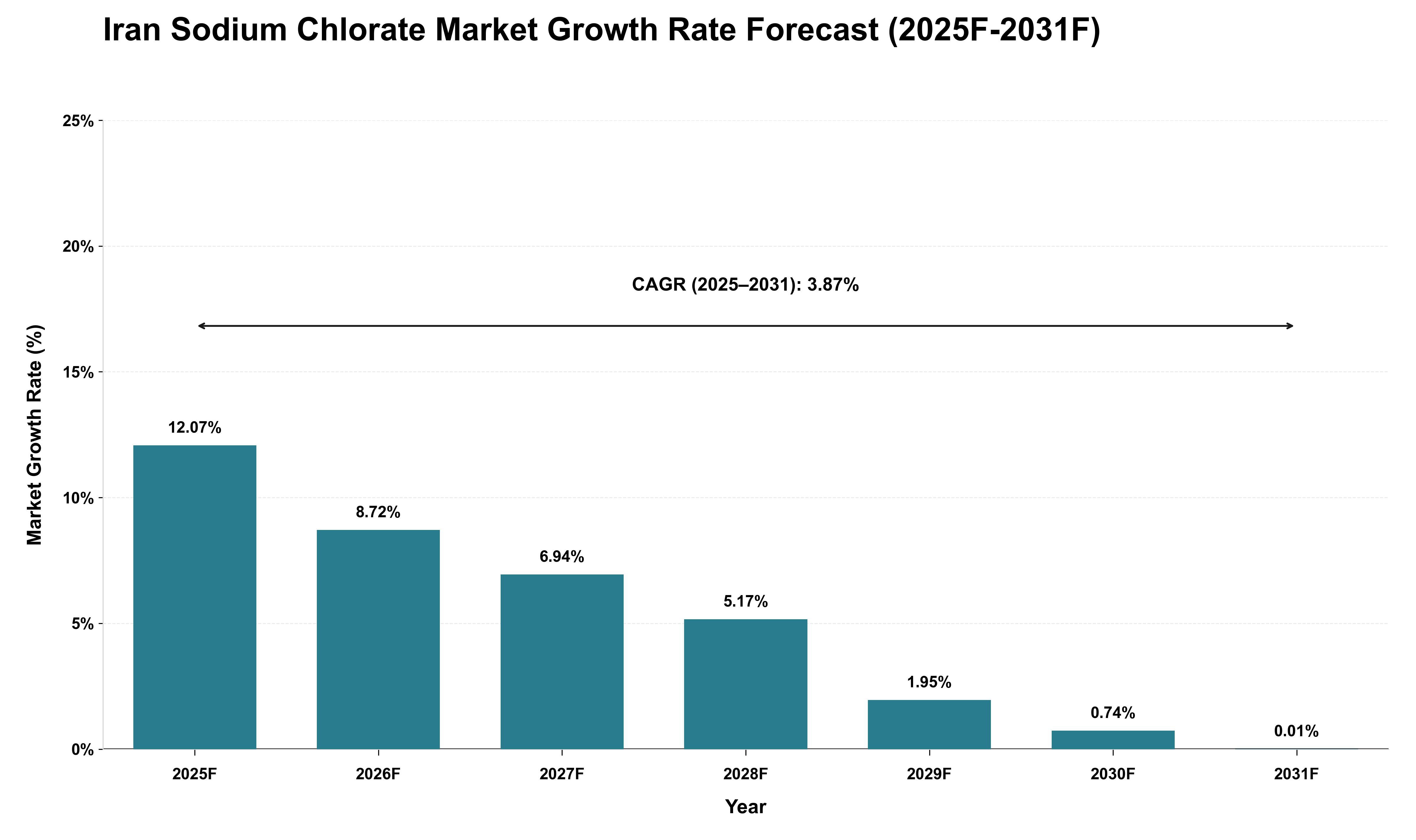 Iran Sodium Chlorate Market Growth Rate Analysis (2025 - 2031)